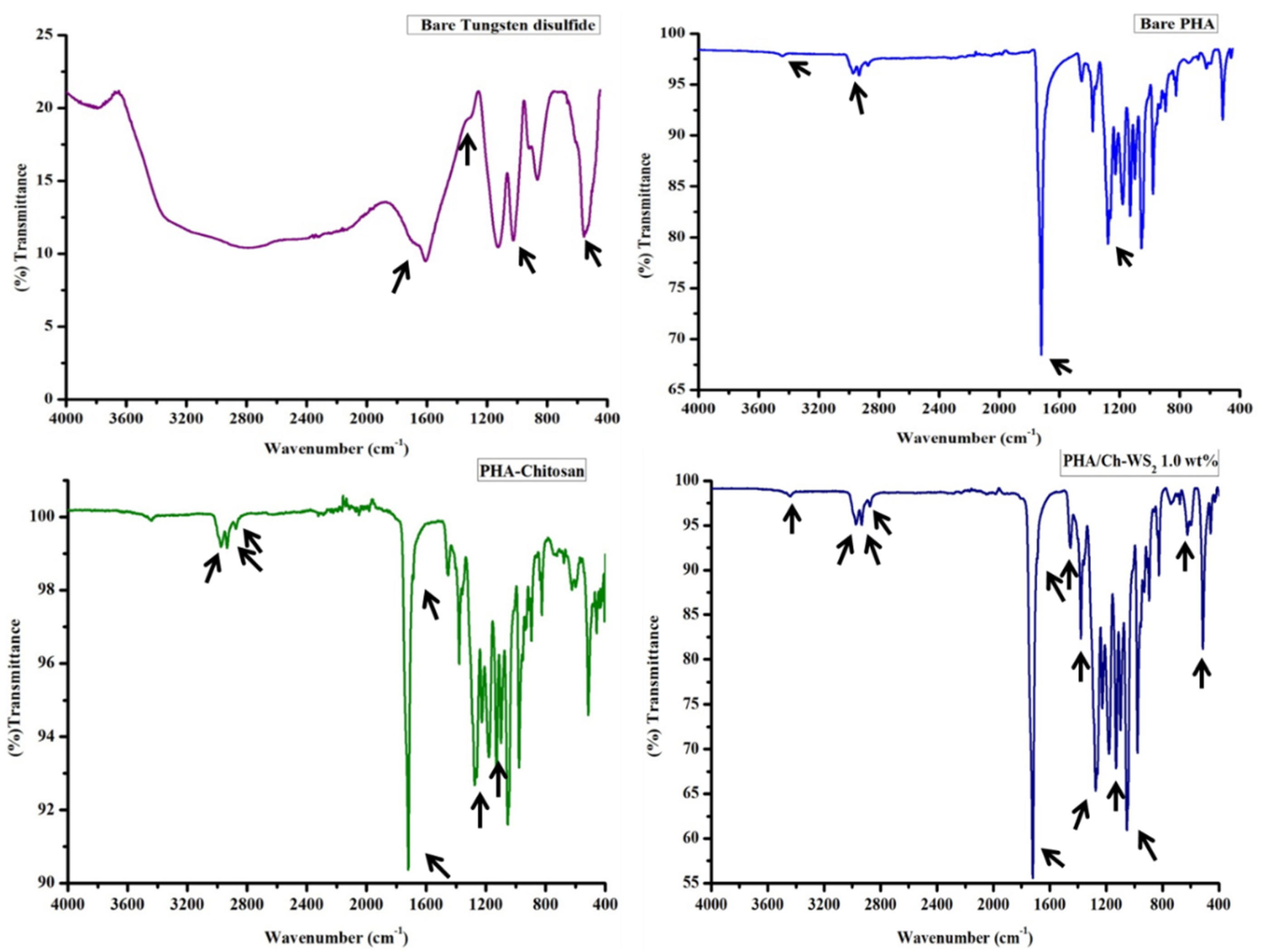 Polymers 14 02224 g004