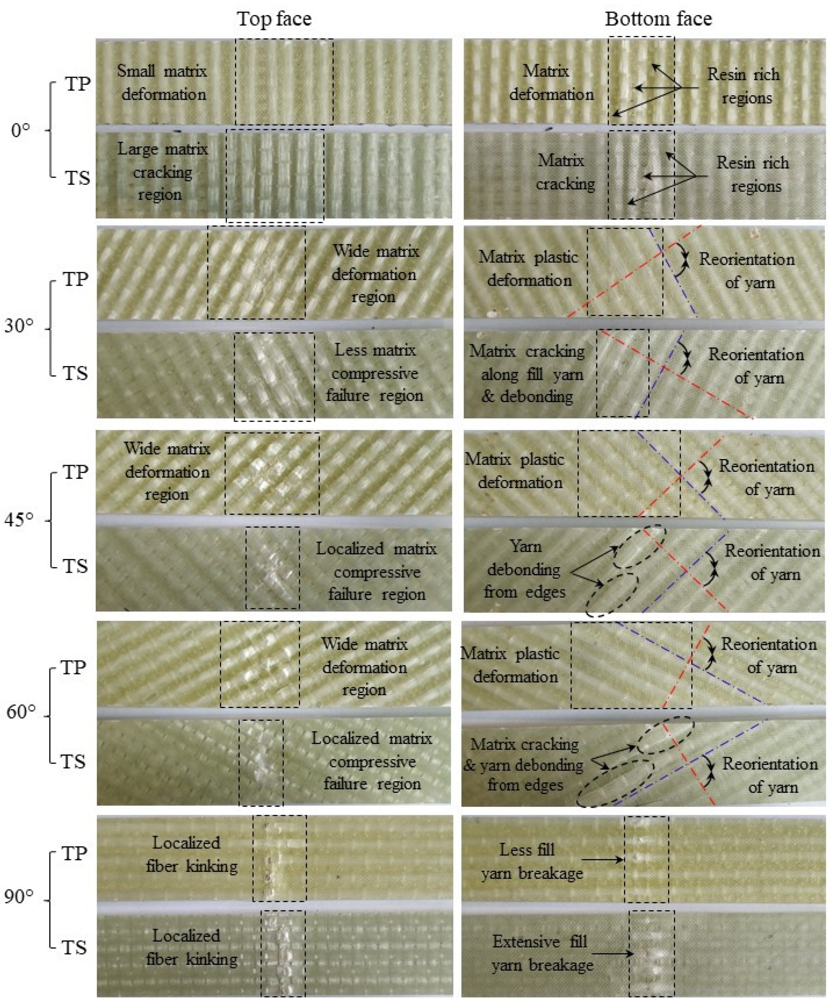 Polymers 14 02225 g008