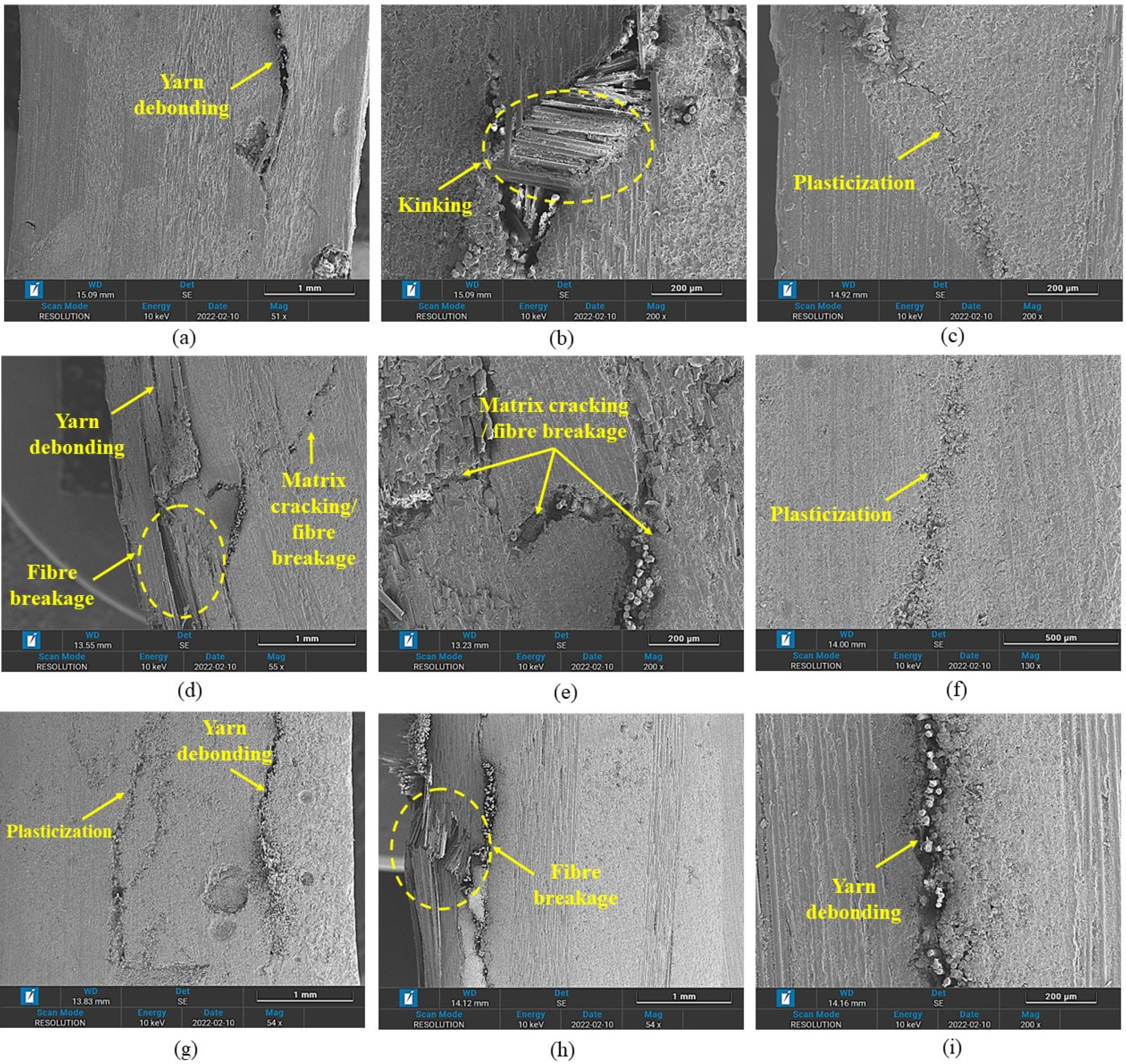 Polymers 14 02225 g009