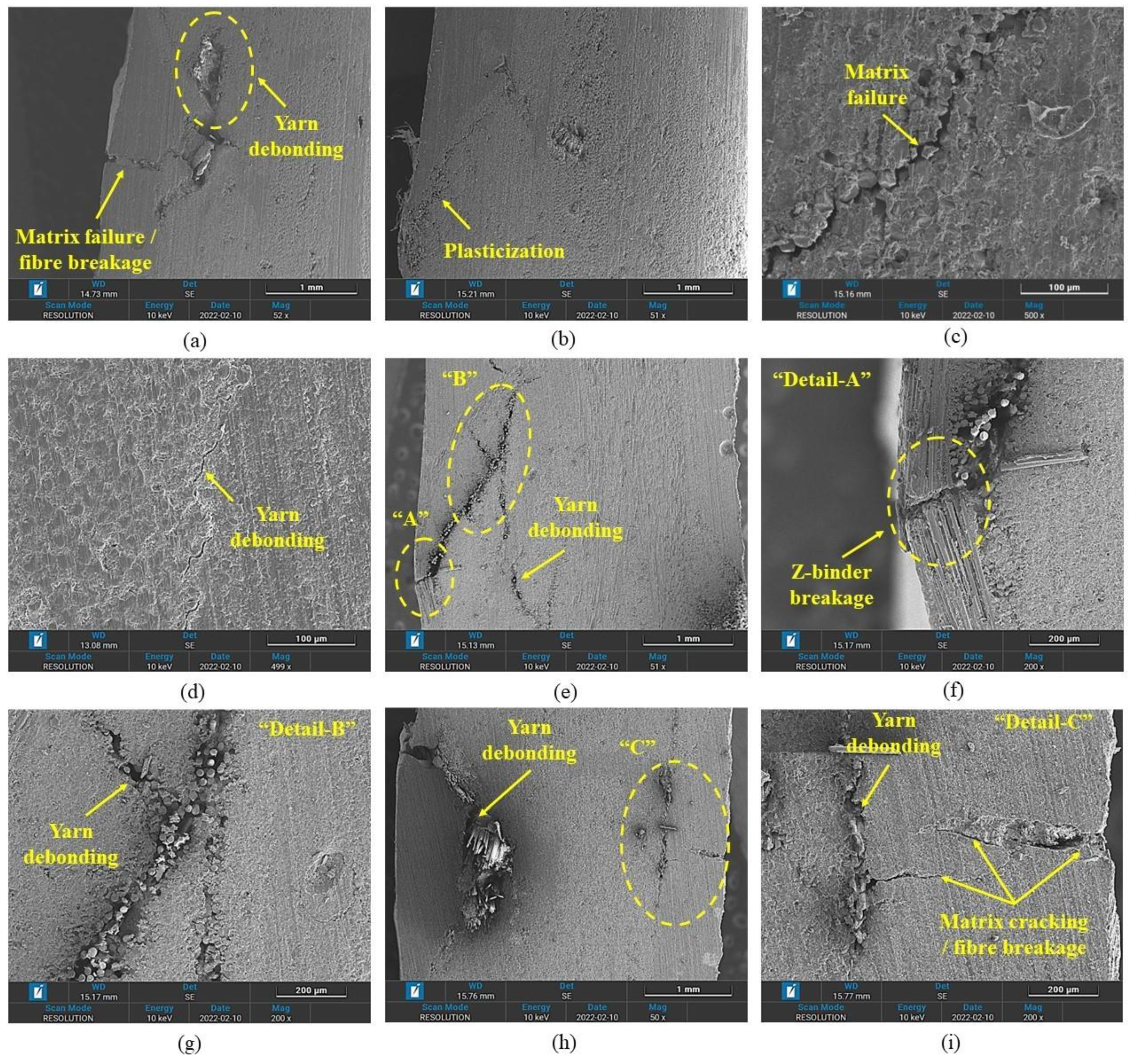 Polymers 14 02225 g010