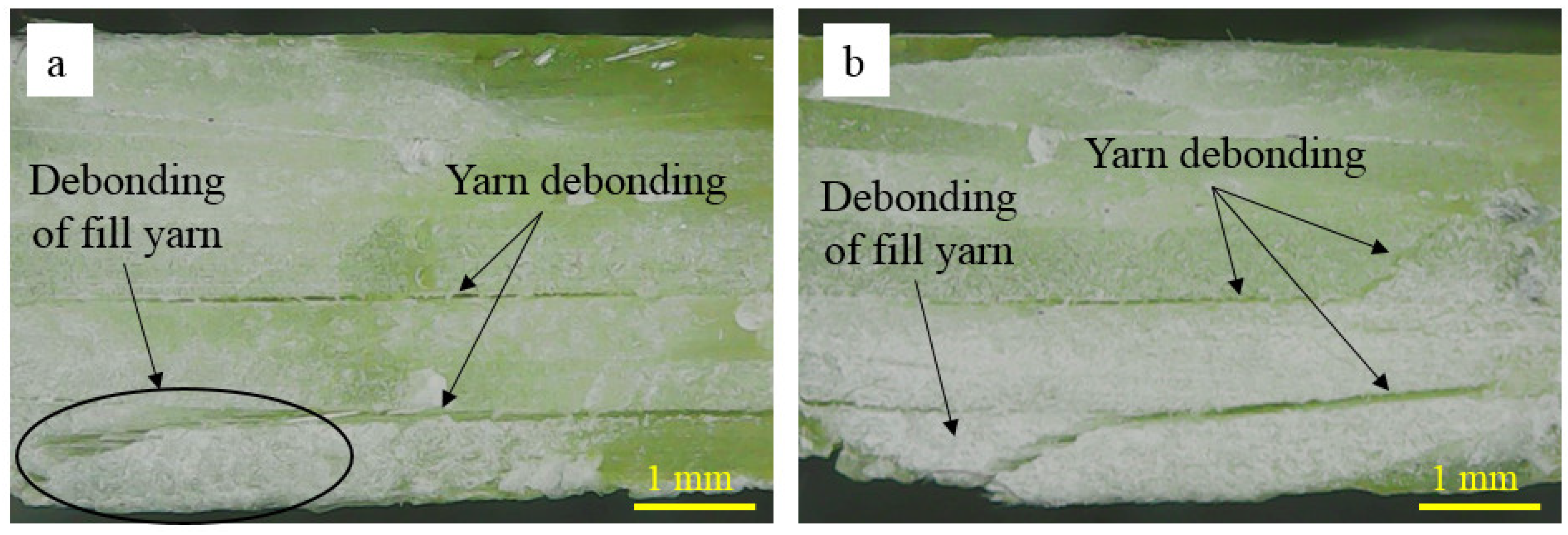 Polymers 14 02225 g011