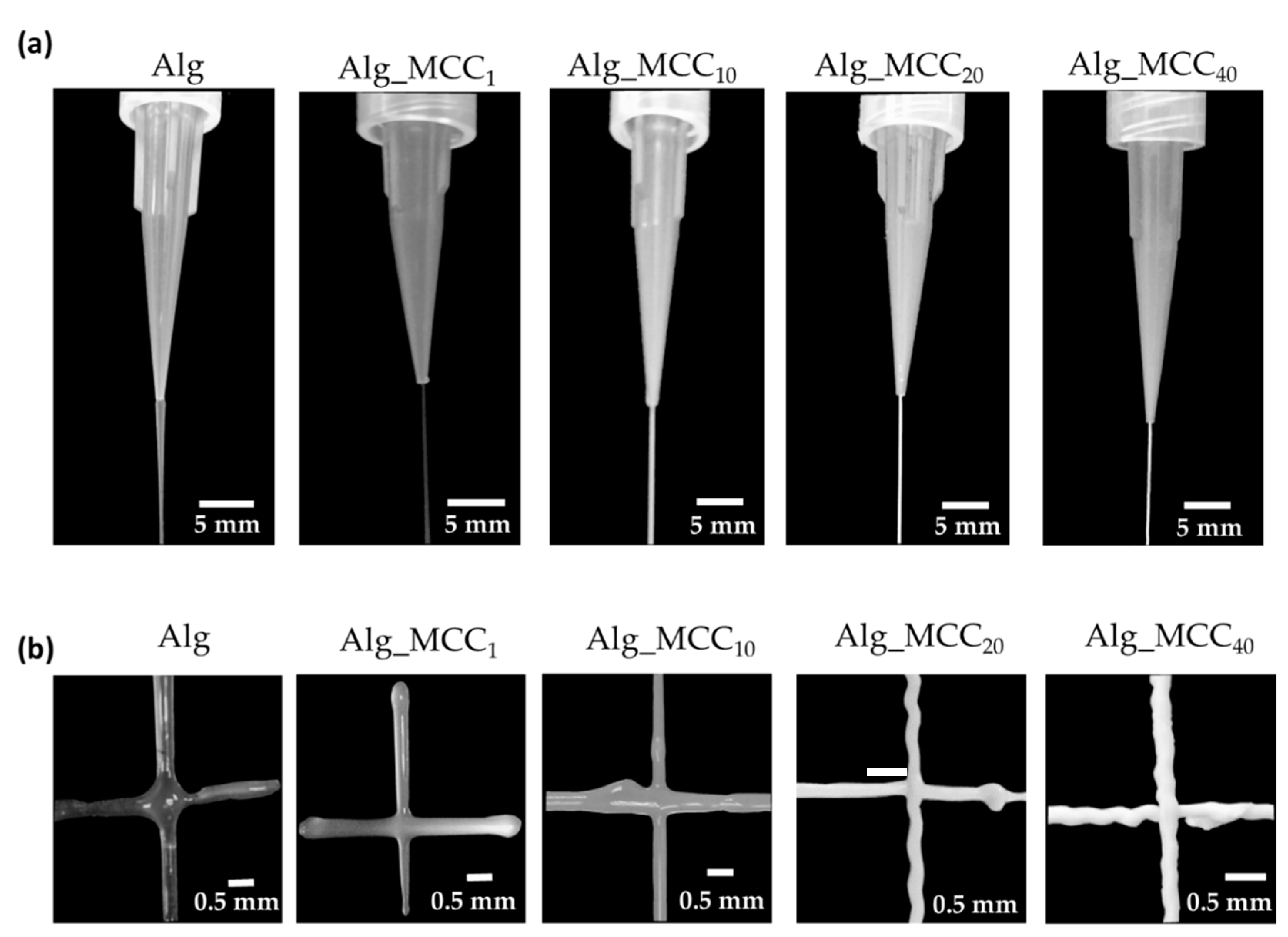 Polymers 14 02229 g002