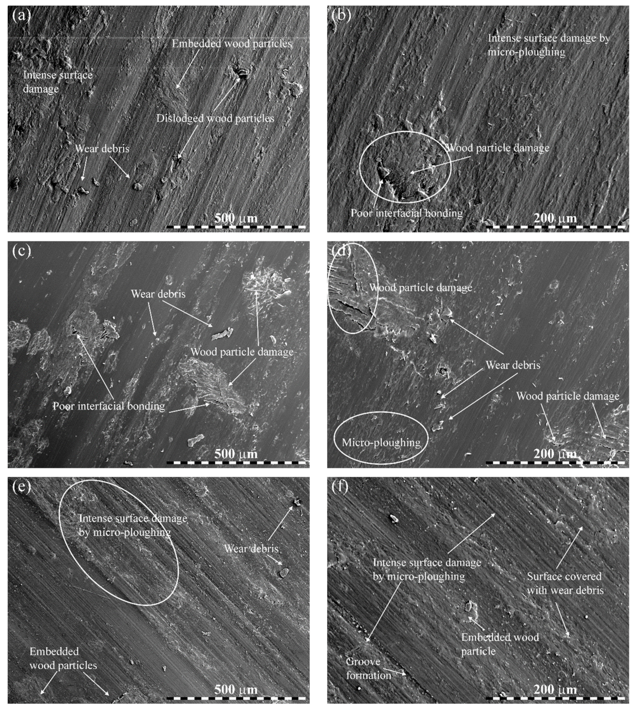 Polymers 14 02230 g009