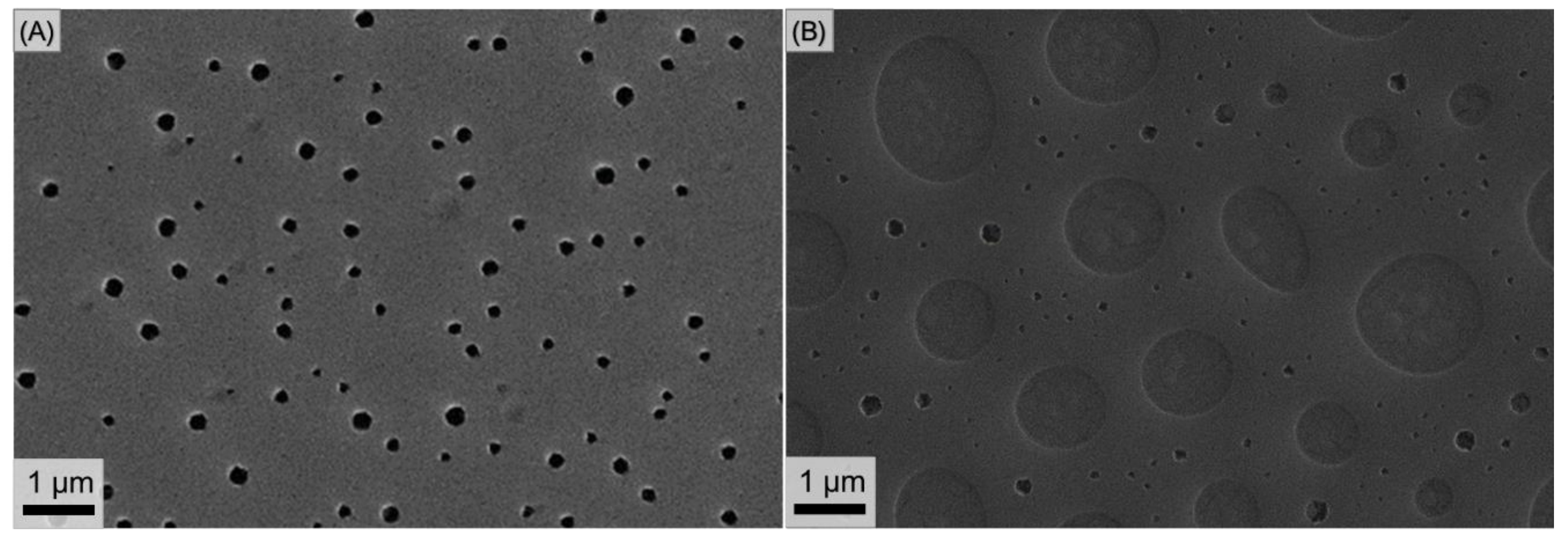 Polymers 14 02231 g003 550