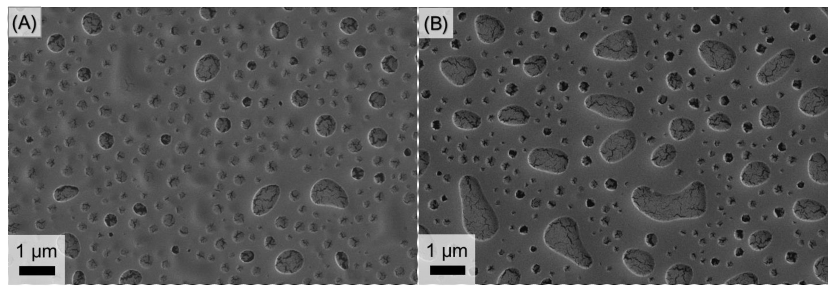 Polymers 14 02231 g004 550