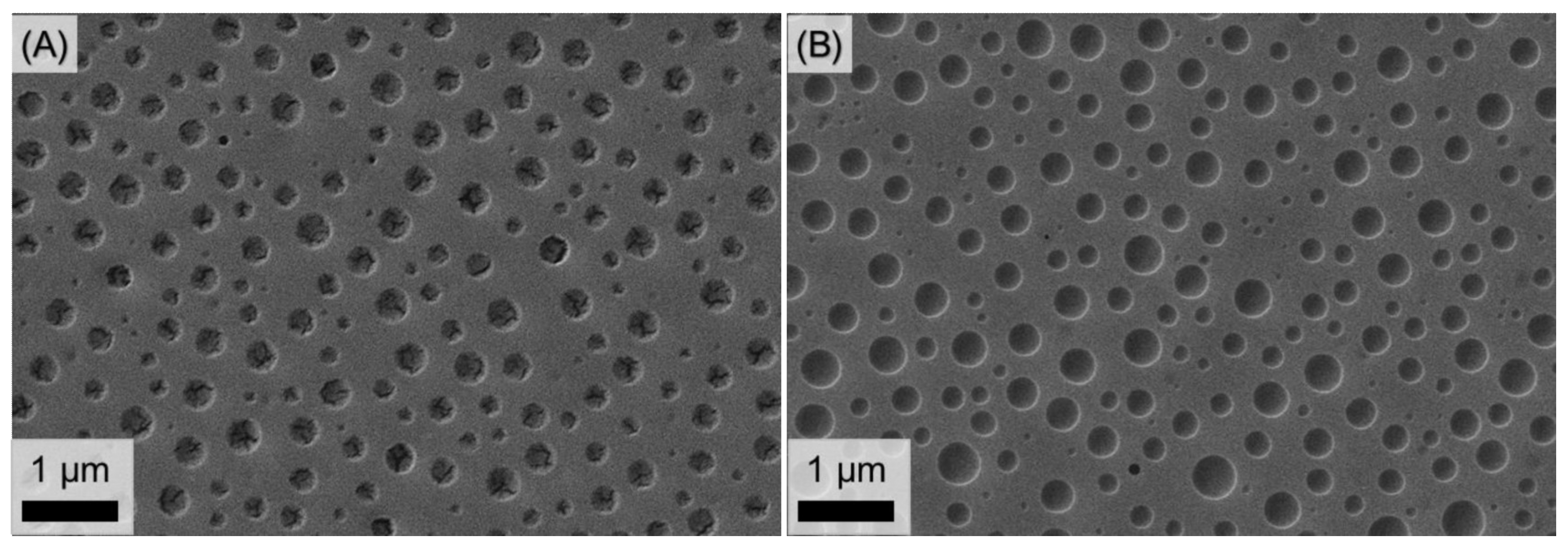 Polymers 14 02231 g005 550
