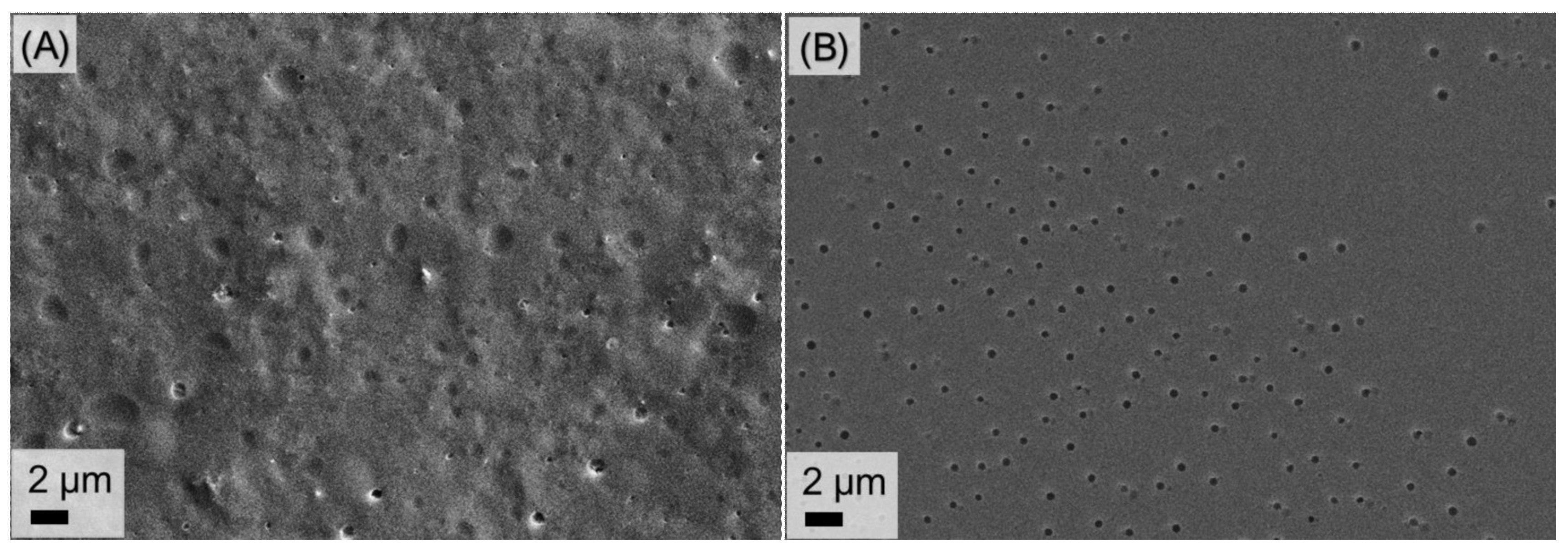 Polymers 14 02231 g008 550