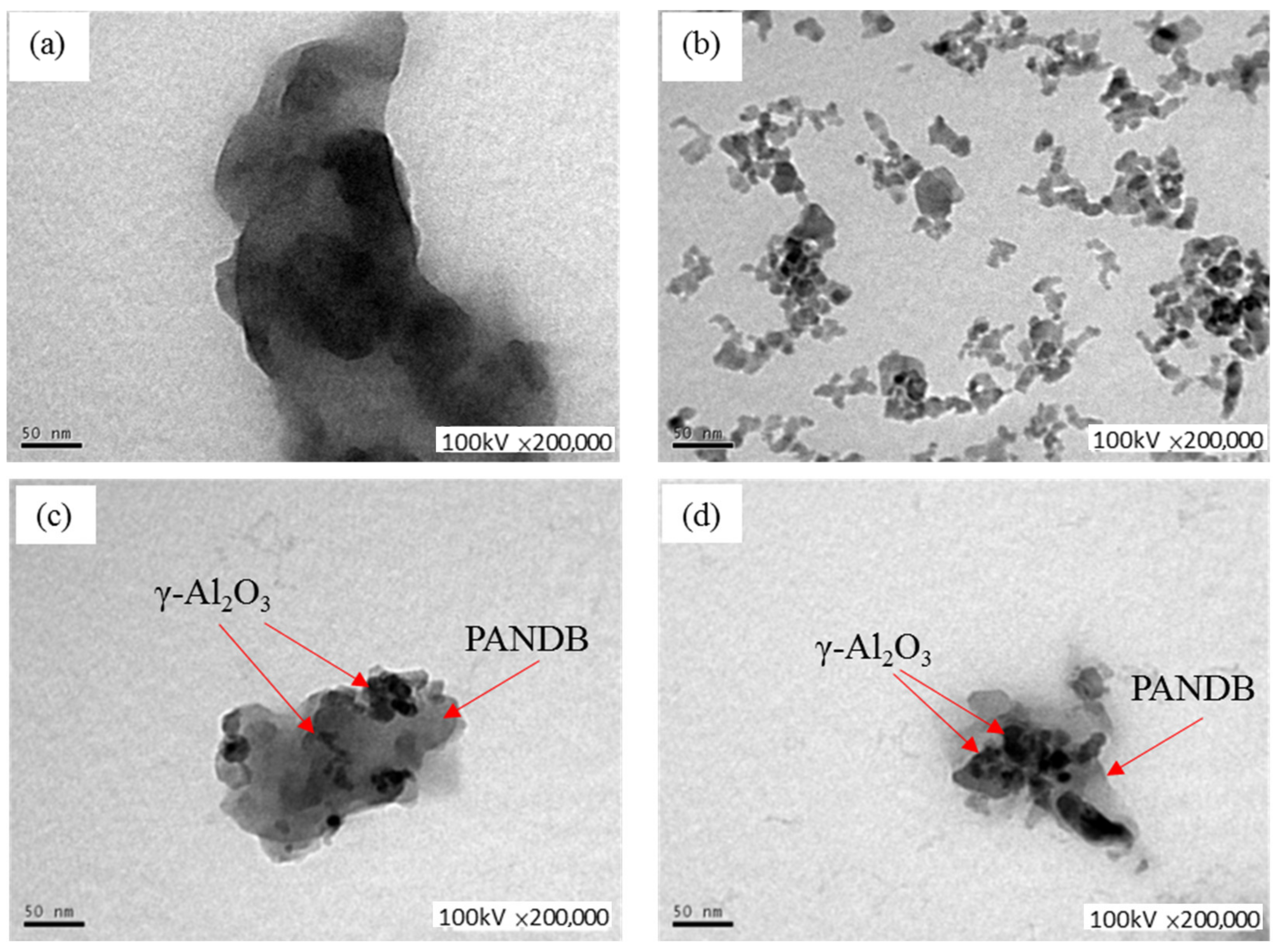 Polymers 14 02232 g005