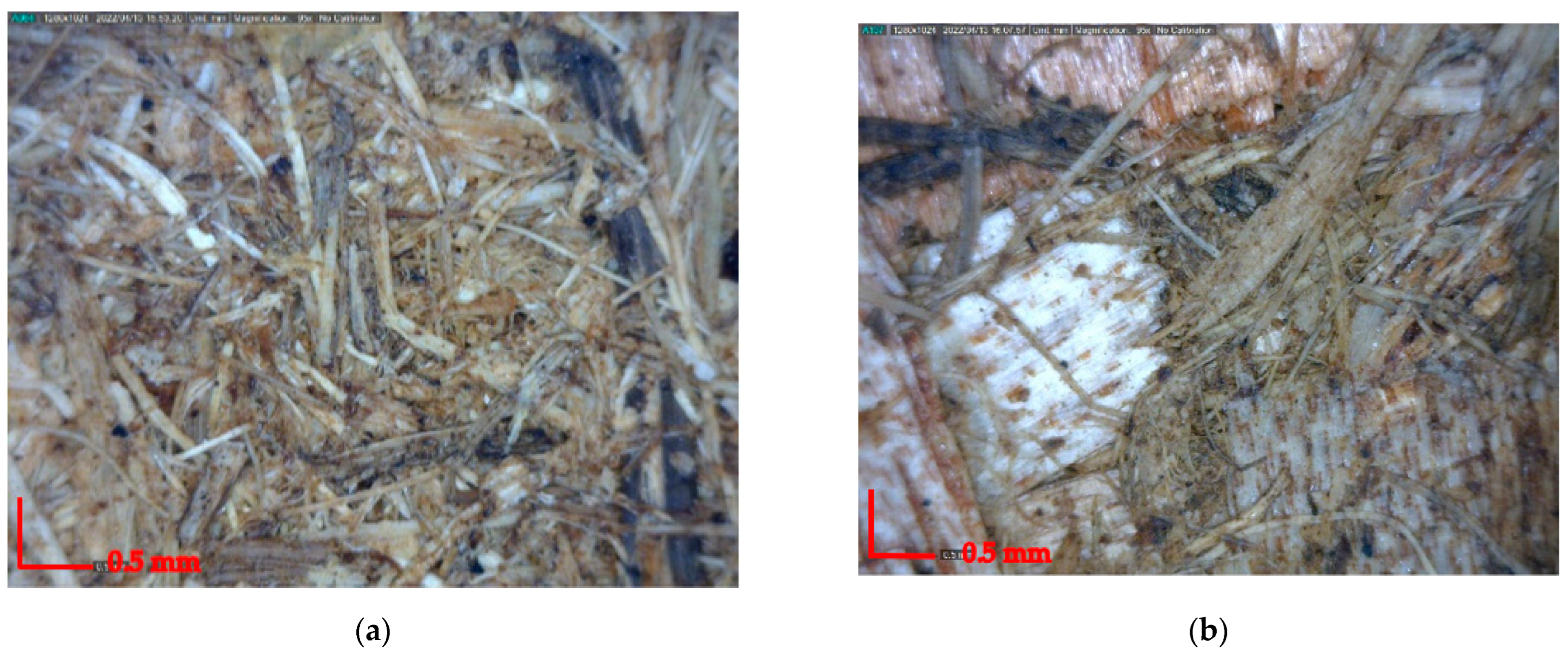 Polymers 14 02237 g007