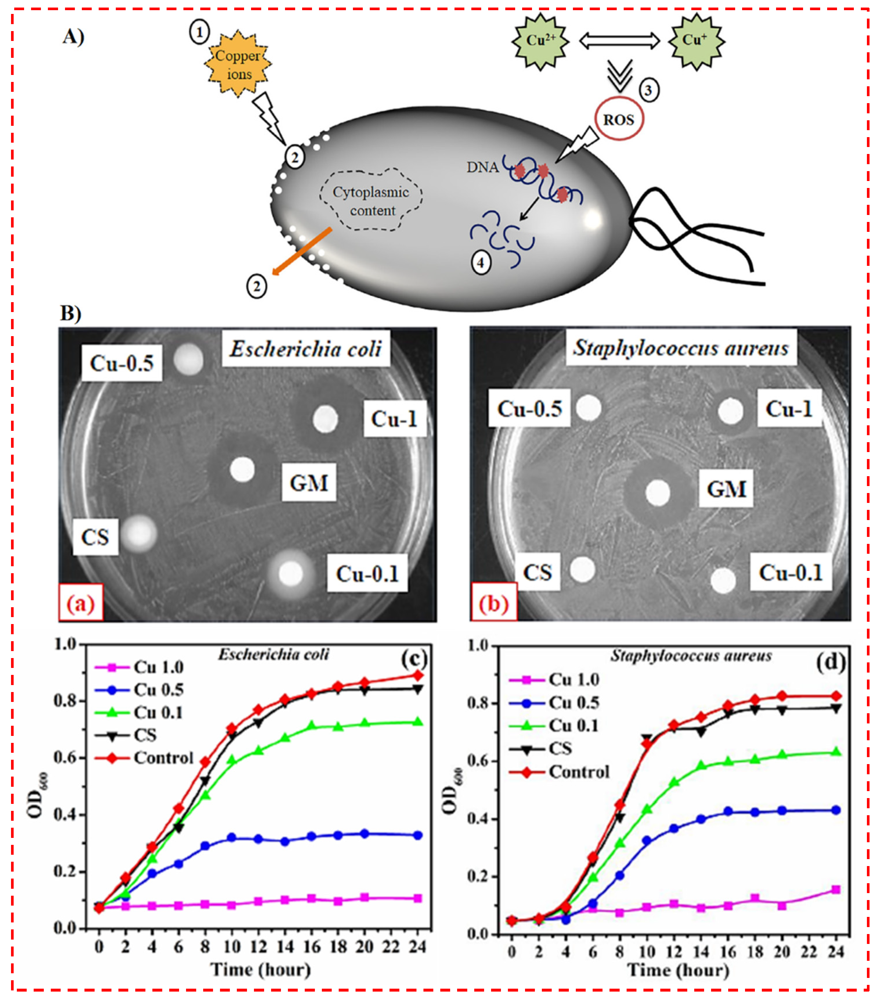 Polymers 14 02238 g002