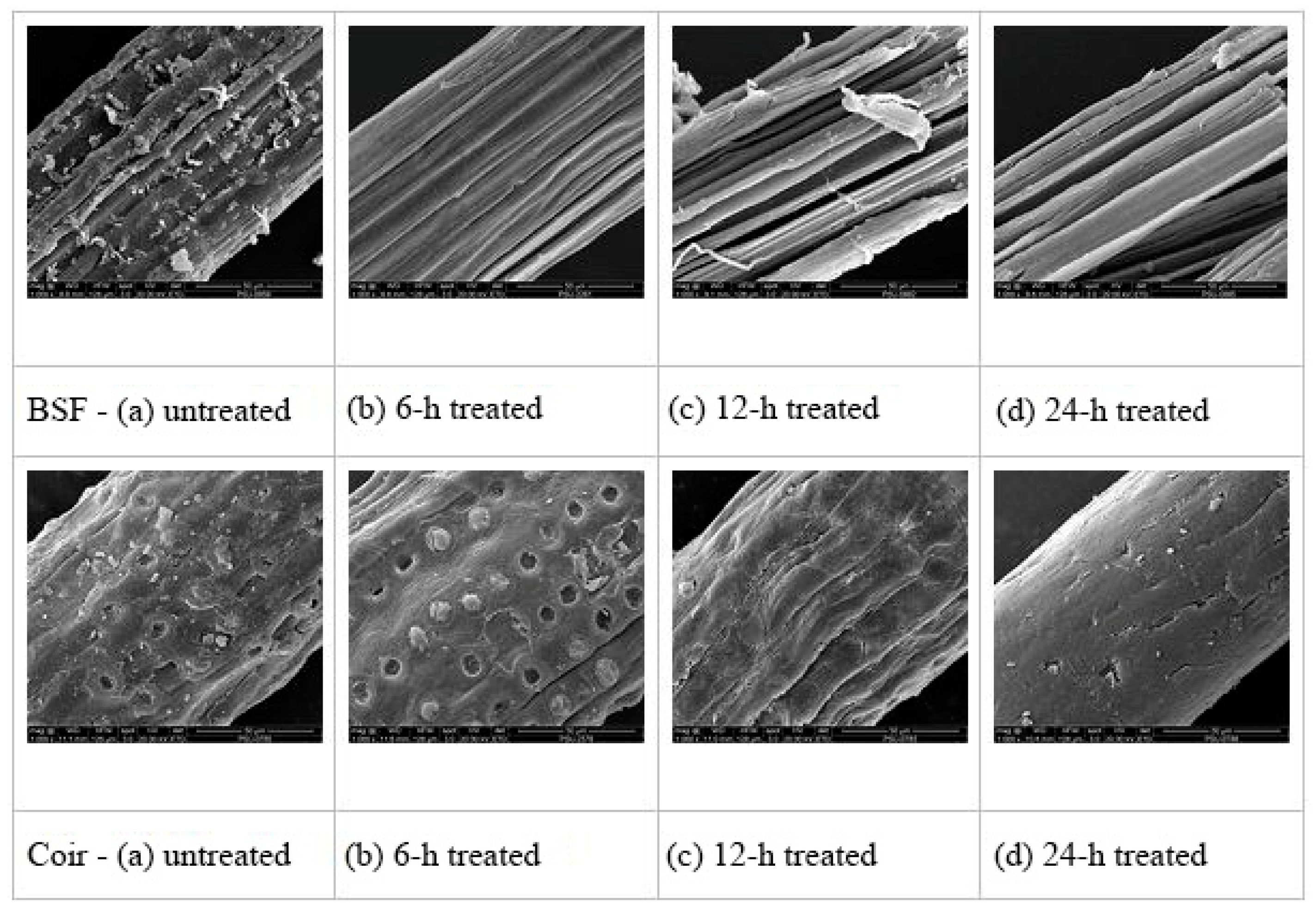 Polymers 14 02241 g003 Polymers 14 02241 g003