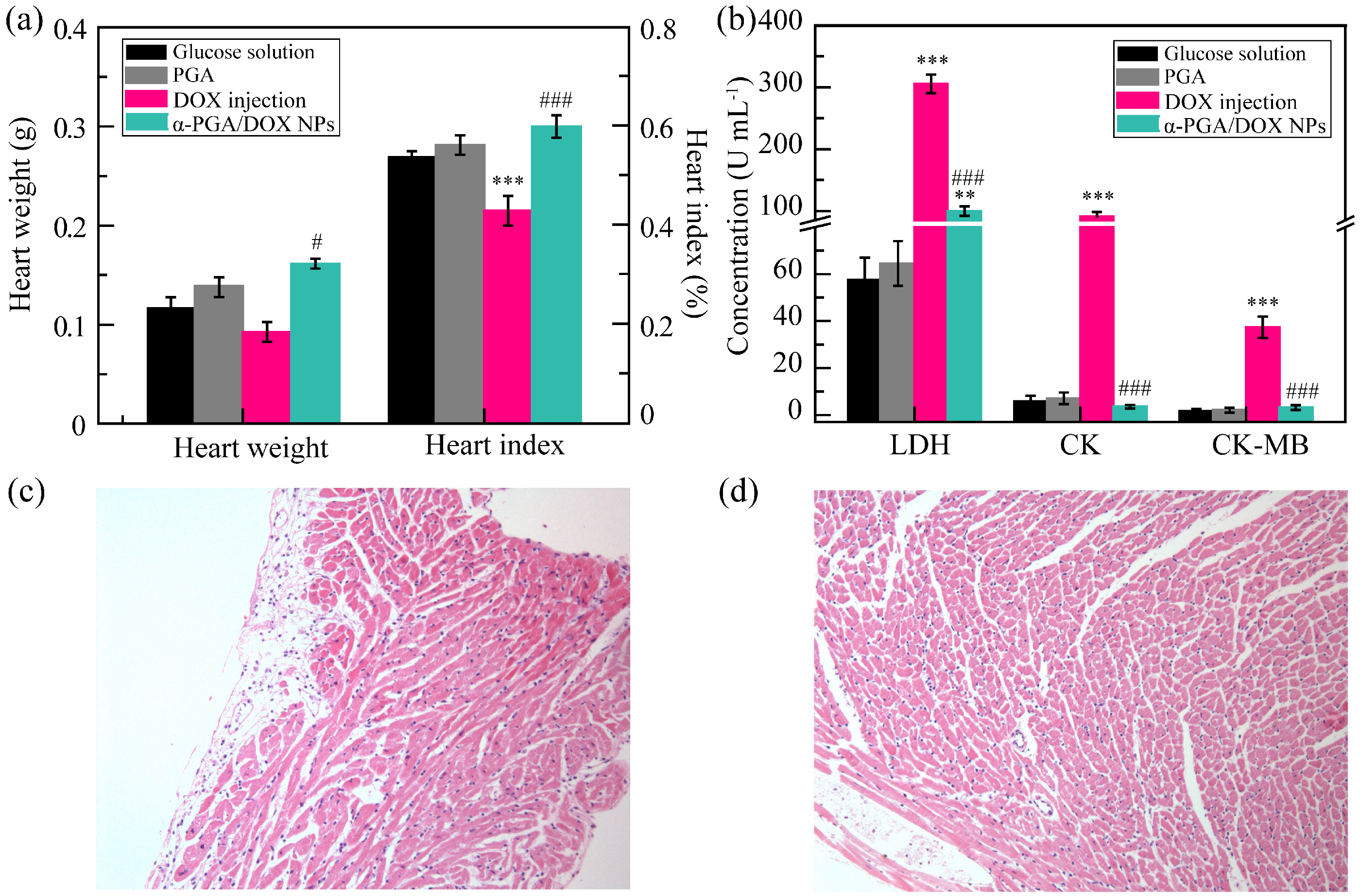 Polymers 14 02242 g008