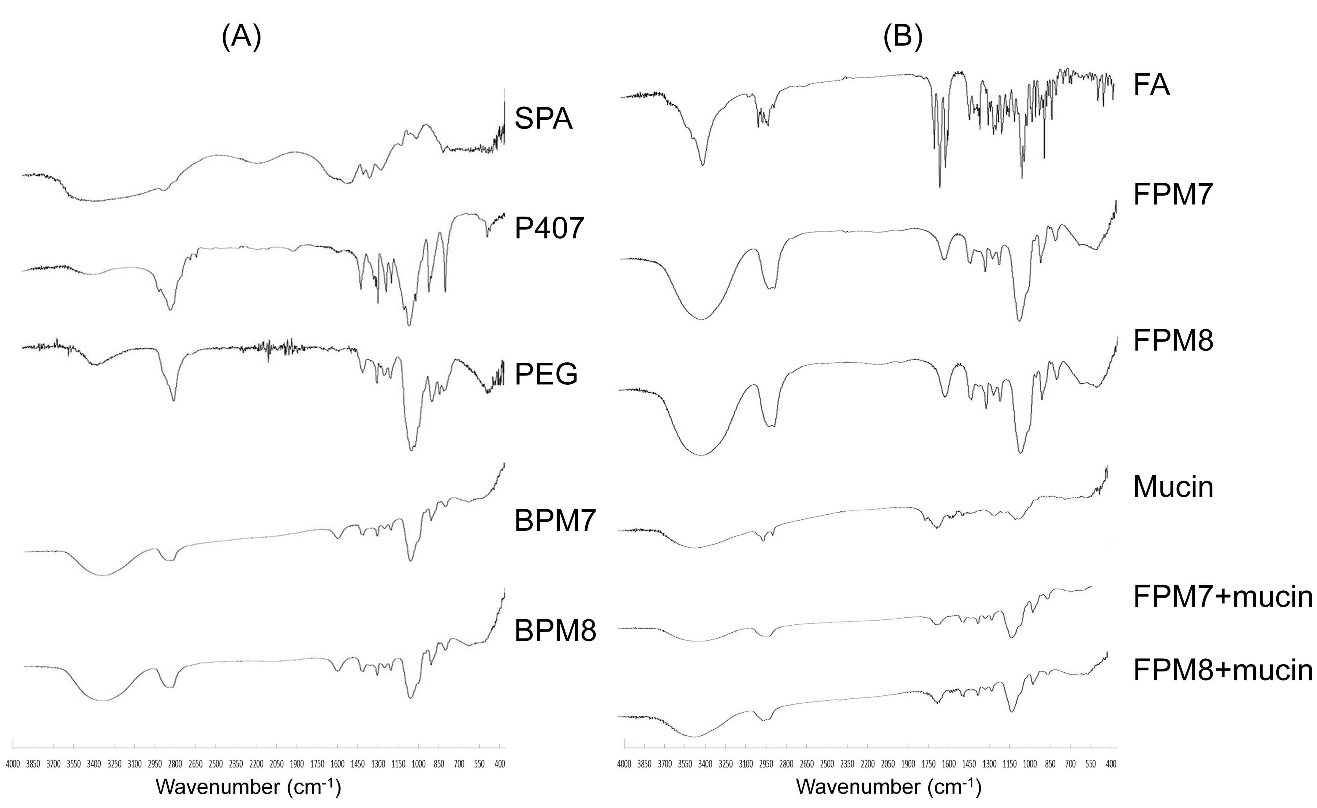 Polymers 14 02247 g004