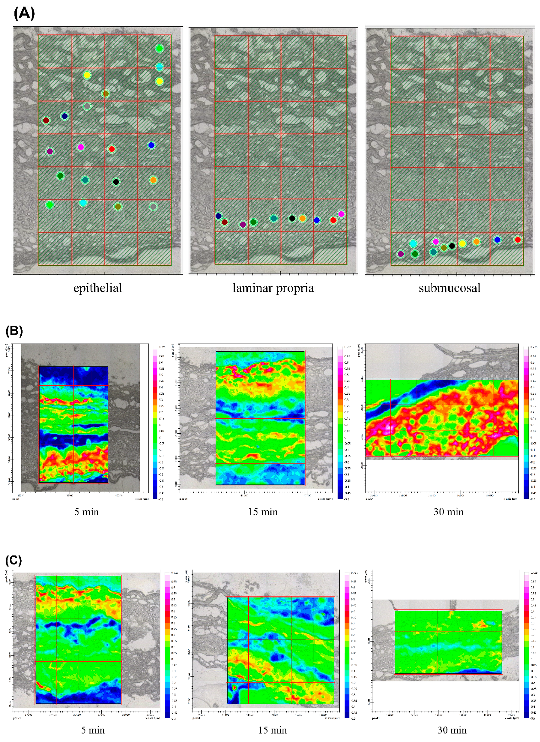 Polymers 14 02247 g007