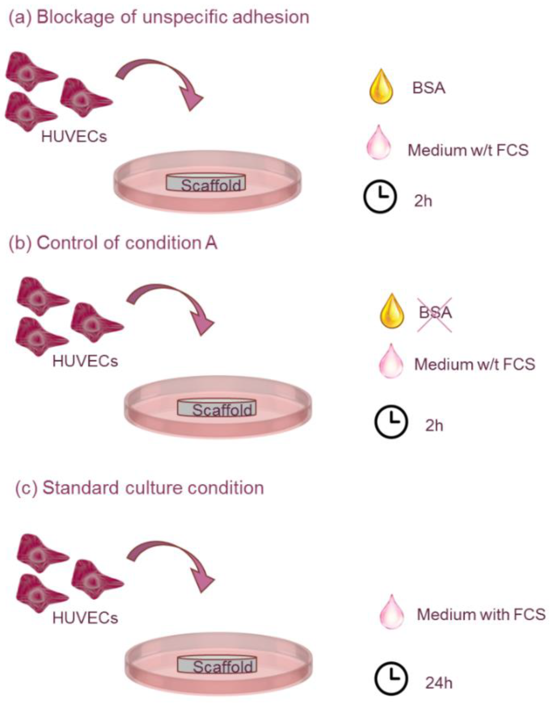 Polymers 14 02251 g001 Polymers 14 02251 g001