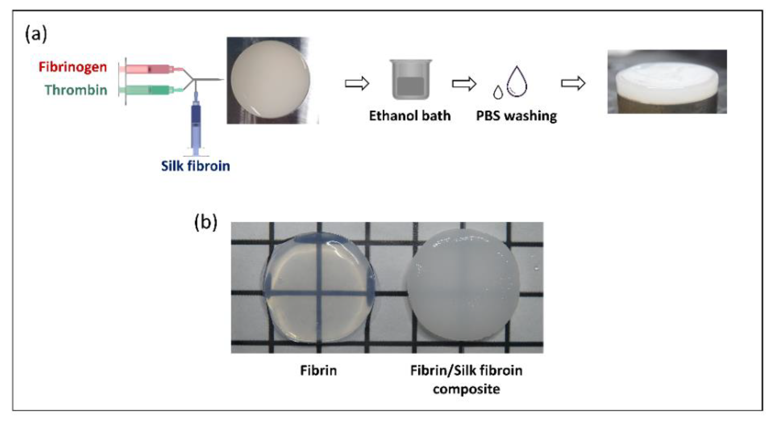 Polymers 14 02251 g002 Polymers 14 02251 g002