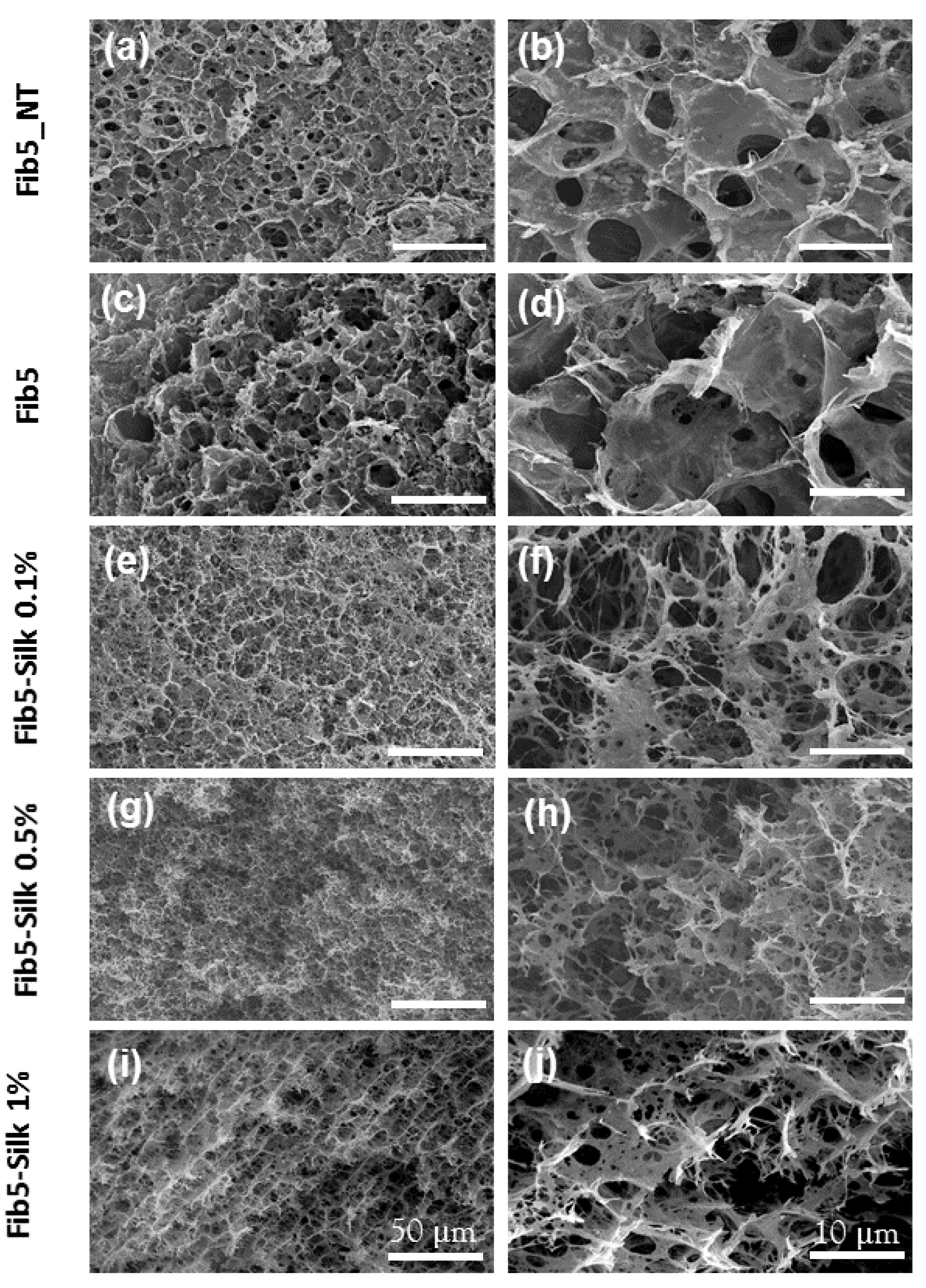 Polymers 14 02251 g003 Polymers 14 02251 g003