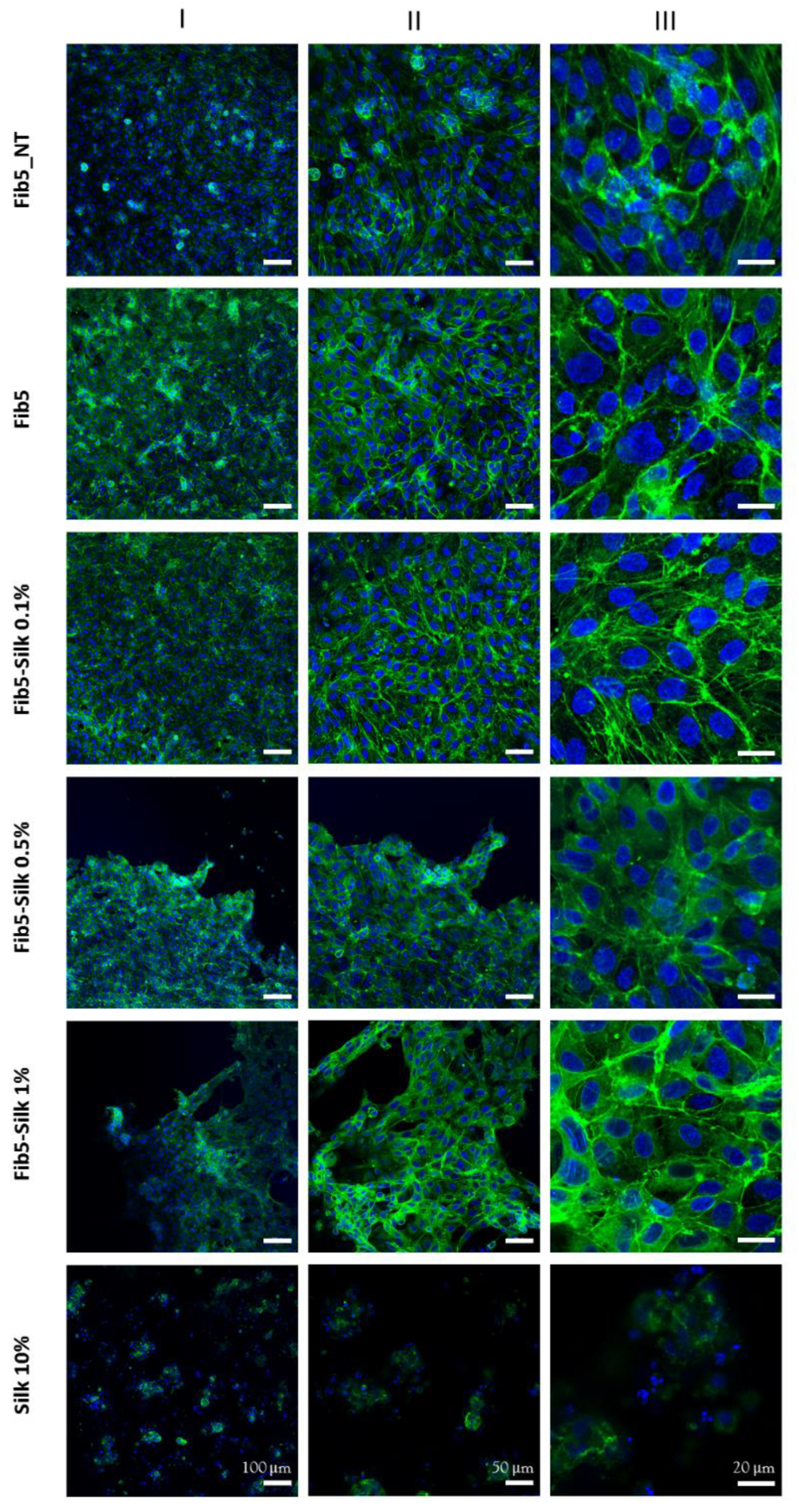 Polymers 14 02251 g006 Polymers 14 02251 g006