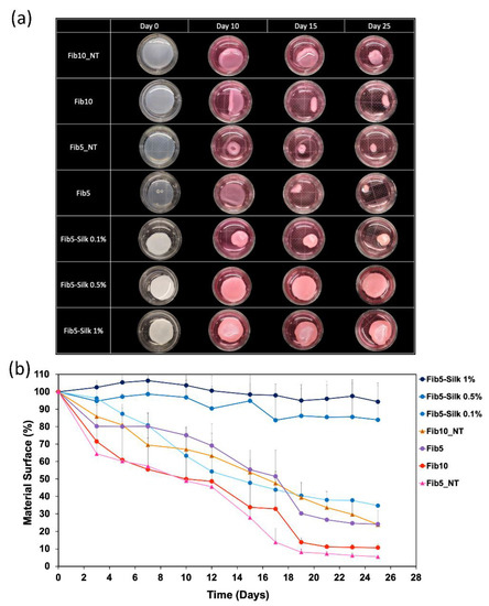 Silk Fibroin as Adjuvant in the Fabrication of Mechanically Stable ...