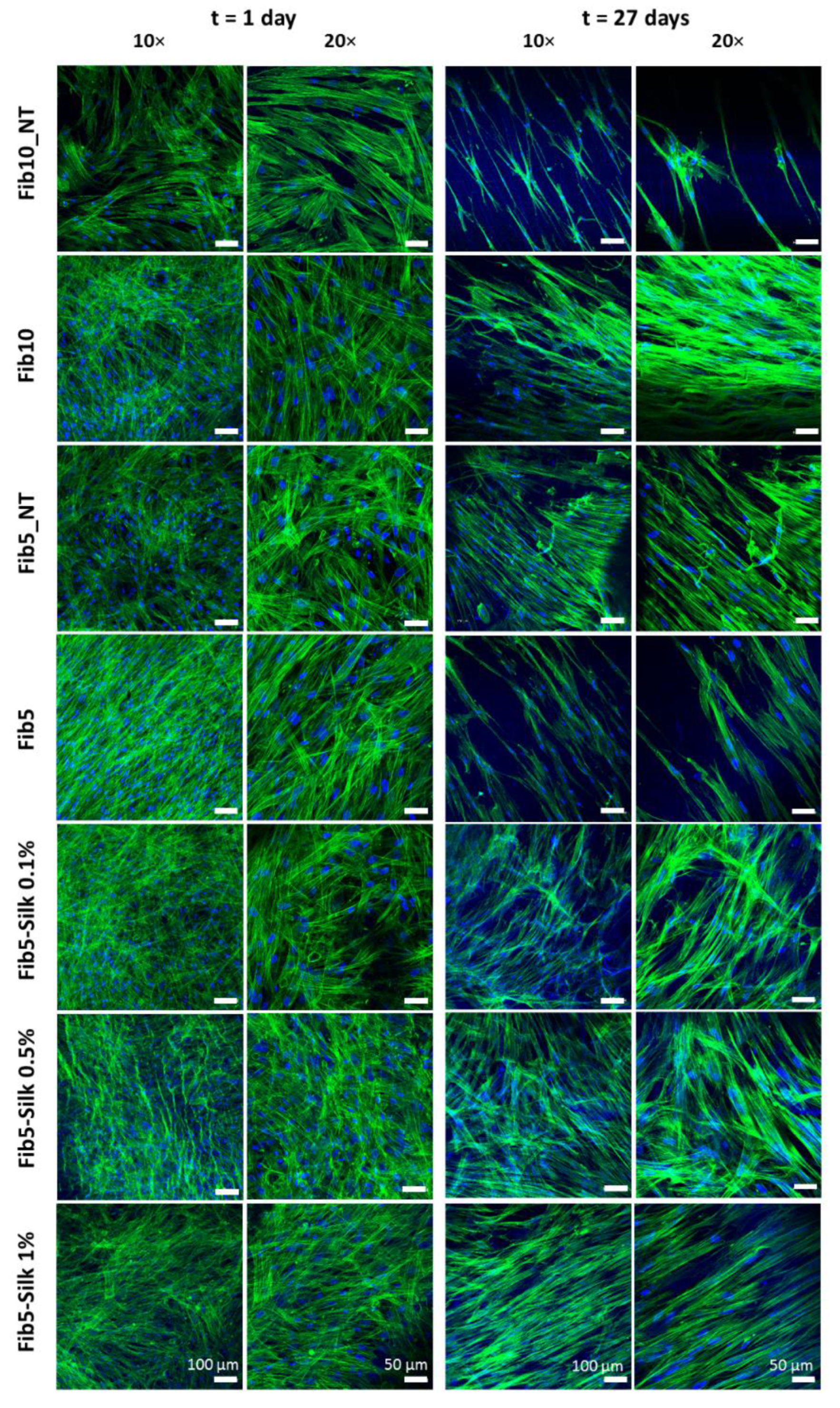 Polymers 14 02251 g008 Polymers 14 02251 g008