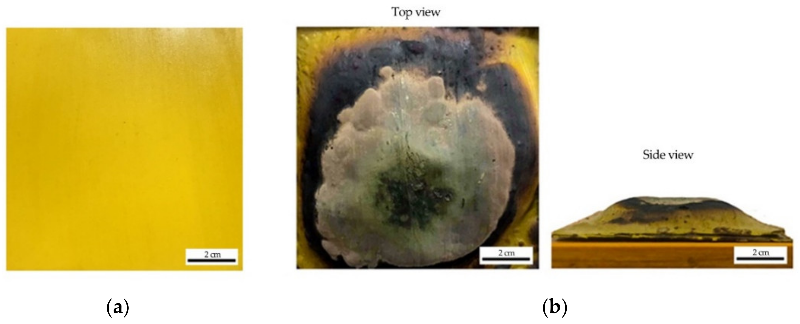 Polymers 14 02252 g007 550