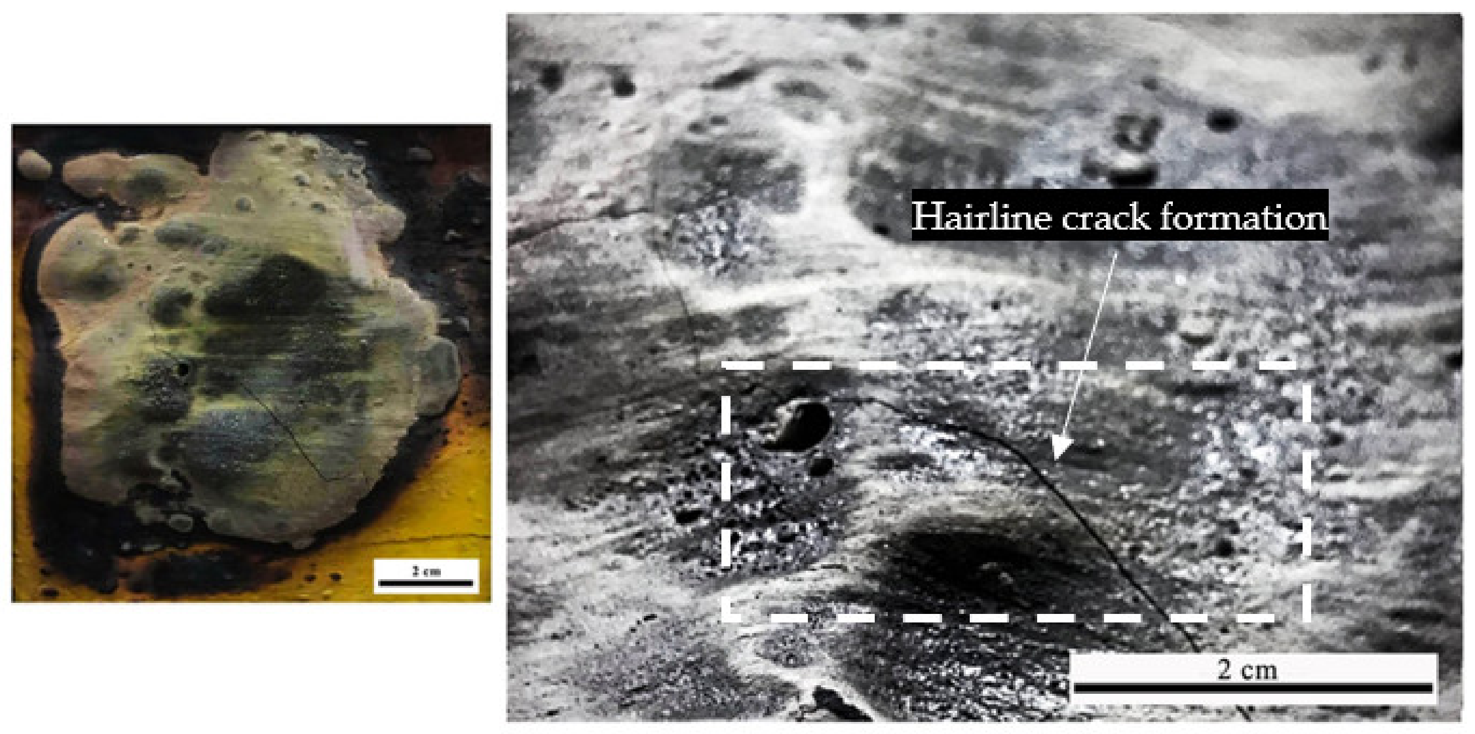 Polymers 14 02252 g010 550