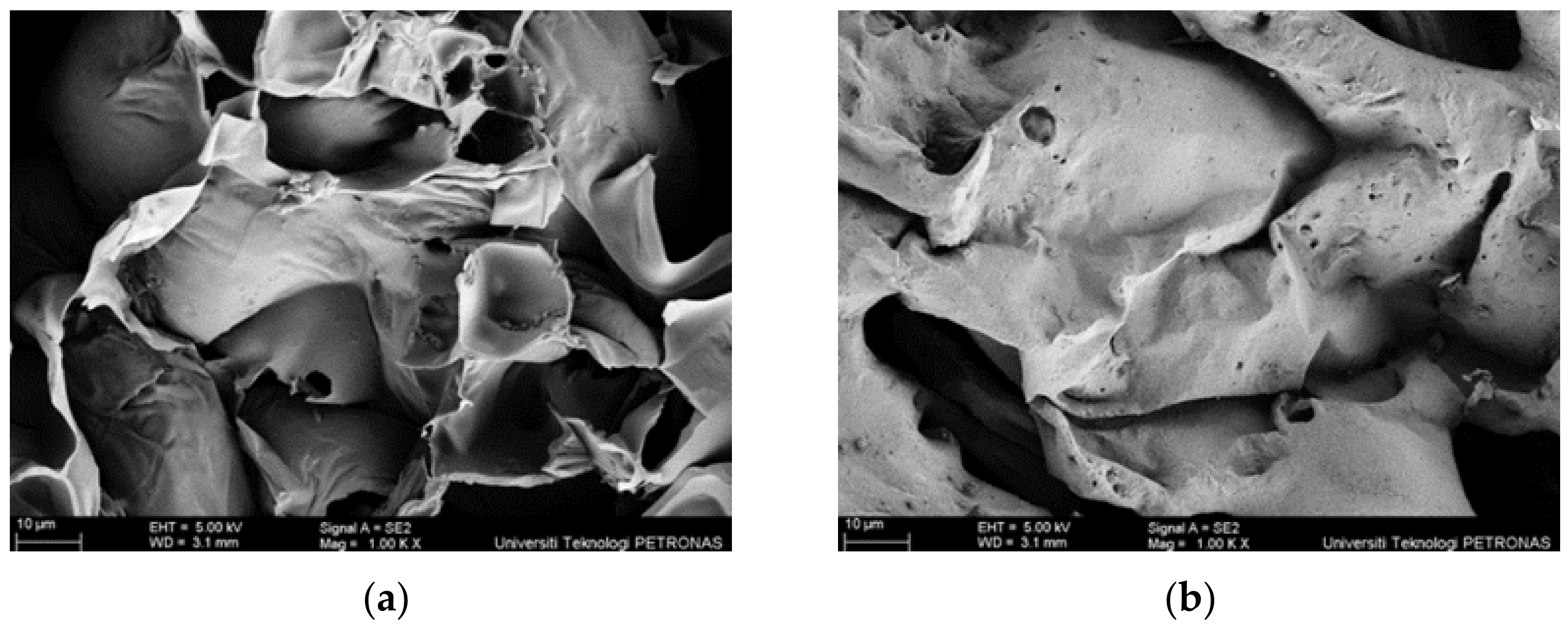 Polymers 14 02252 g012 550