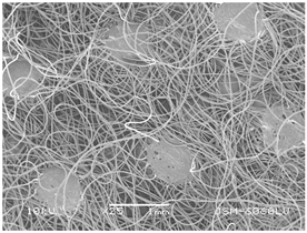 Polymers 14 02258 i003