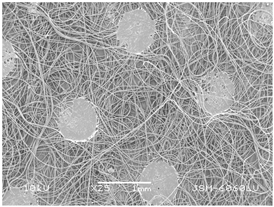 Polymers 14 02258 i005