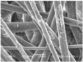 Polymers 14 02258 i016