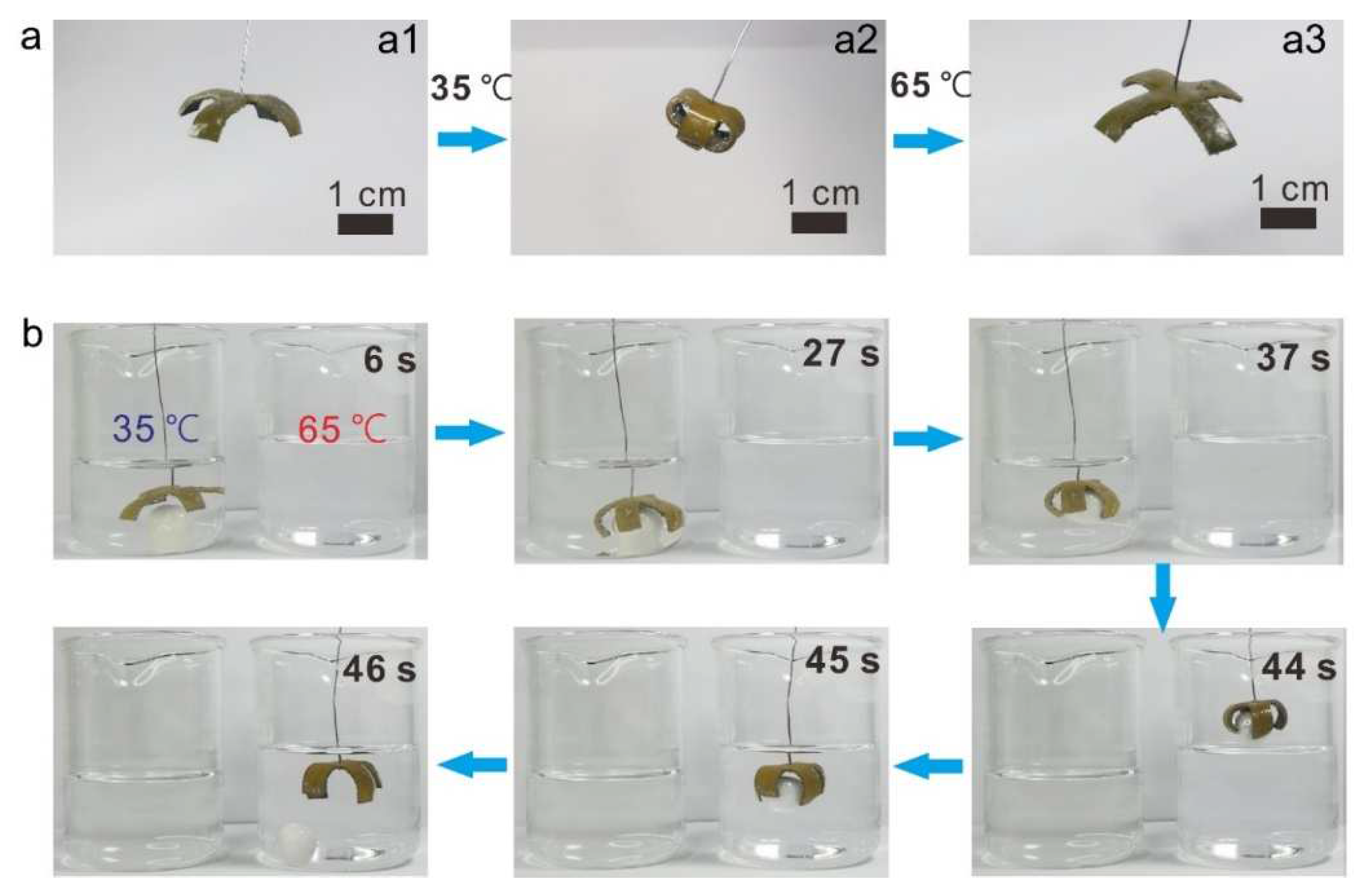 Polymers 14 02259 g003