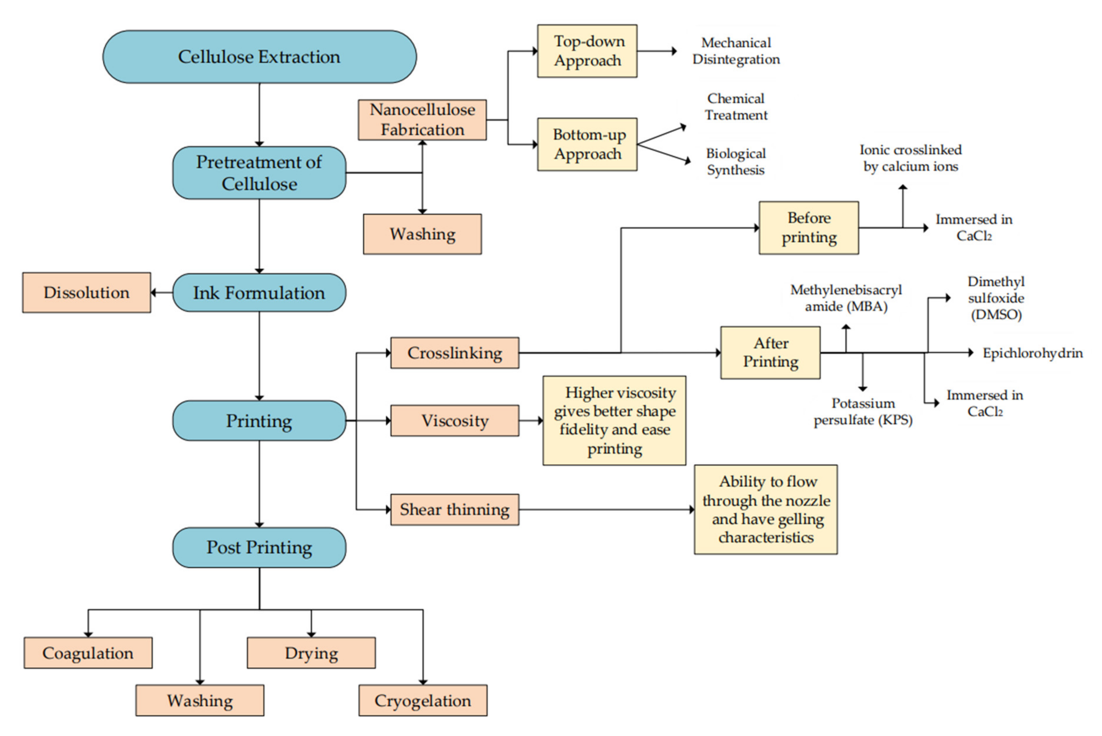 Polymers 14 02260 g006