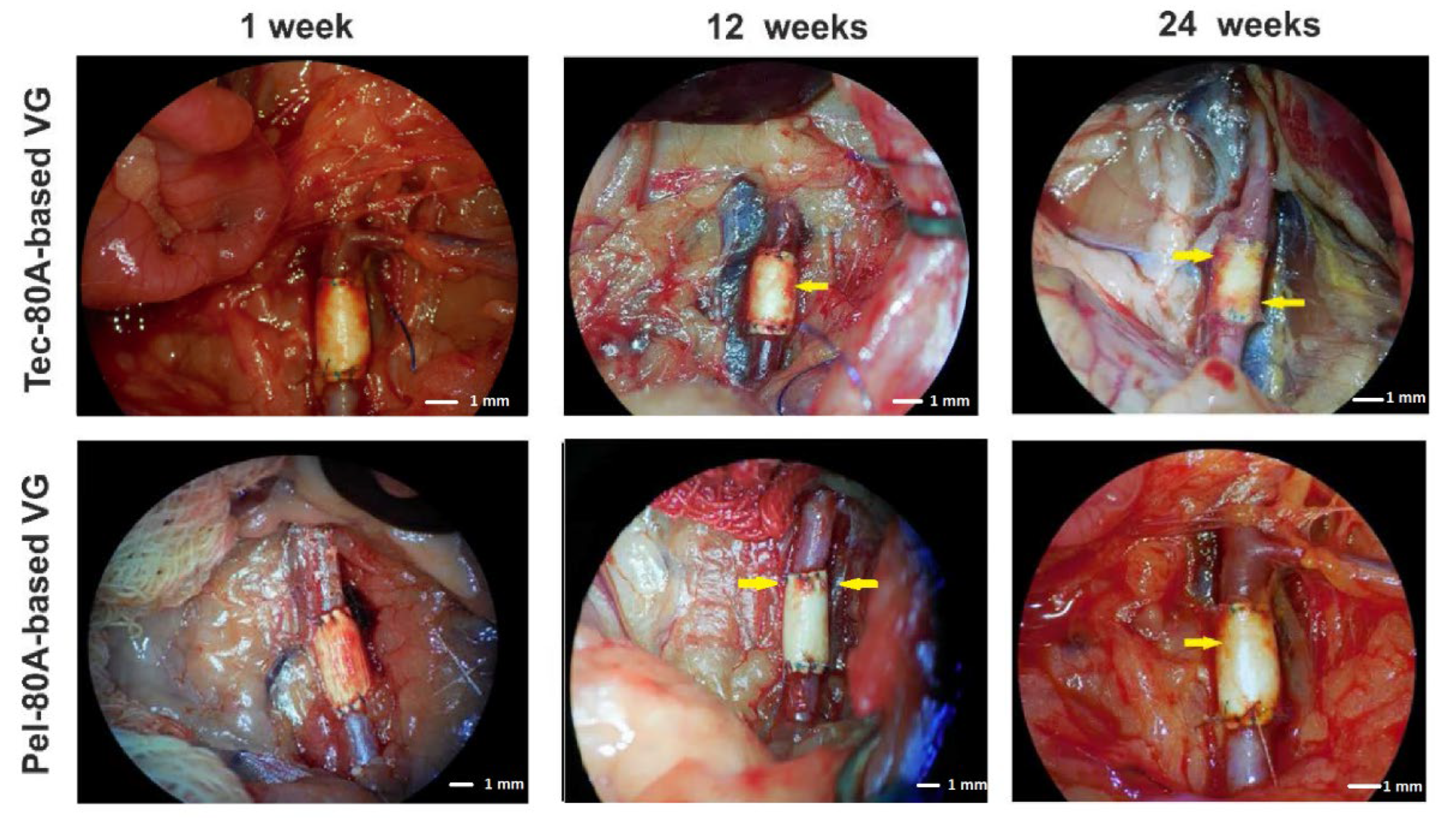Polymers 14 02263 g001