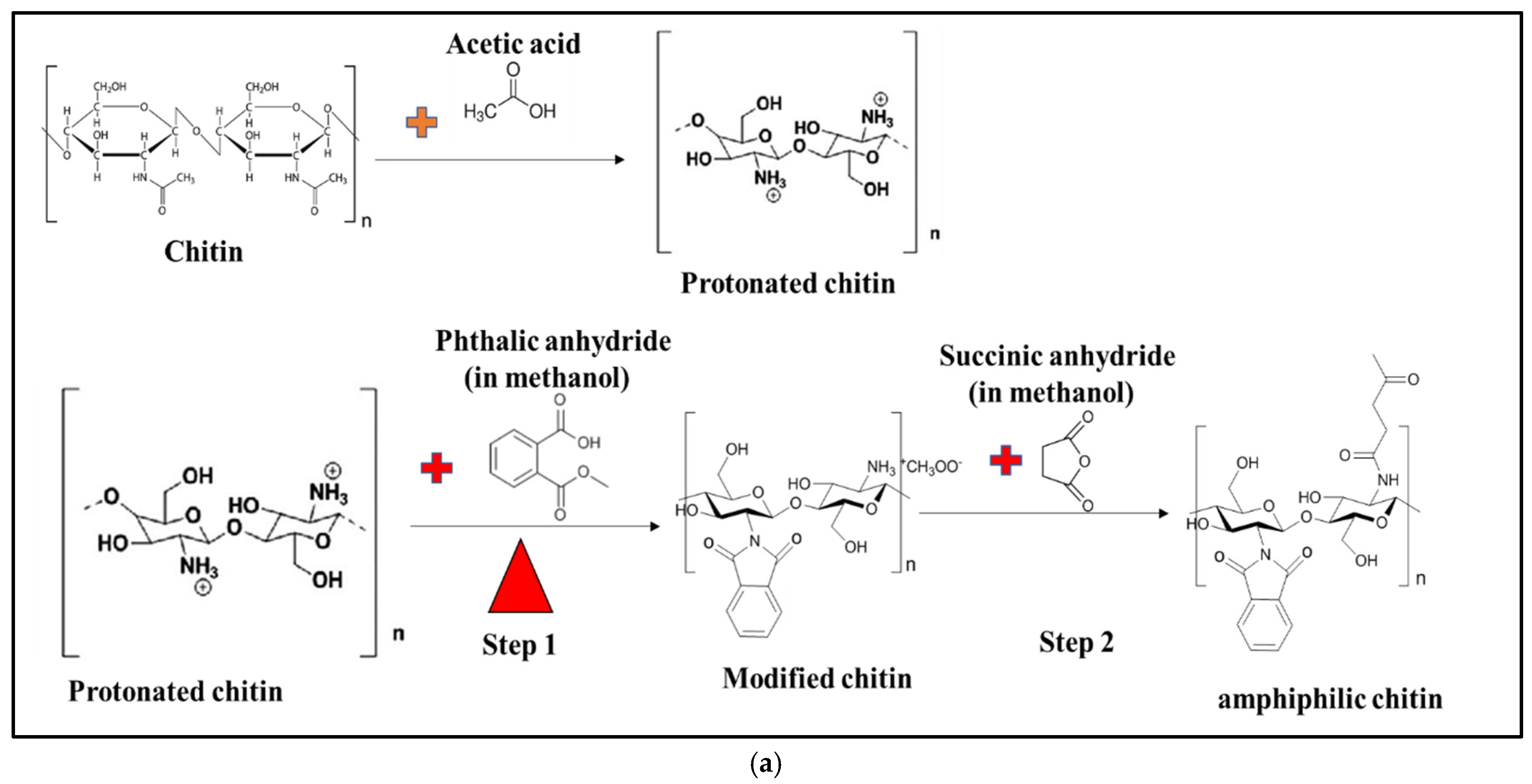 Polymers 14 02268 g001a 550