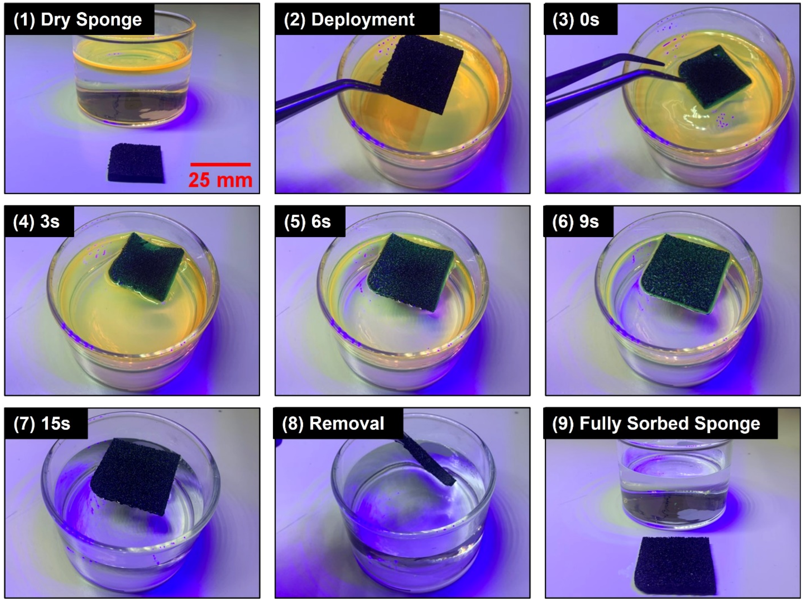 Polymers 14 02269 g006