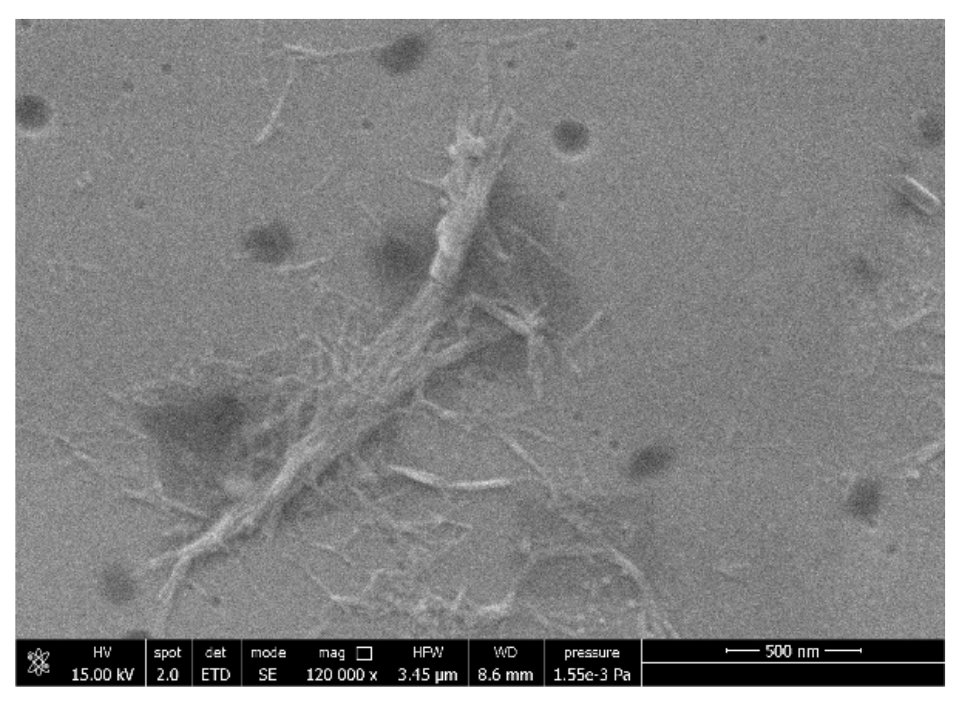 Polymers 14 02274 g005 550