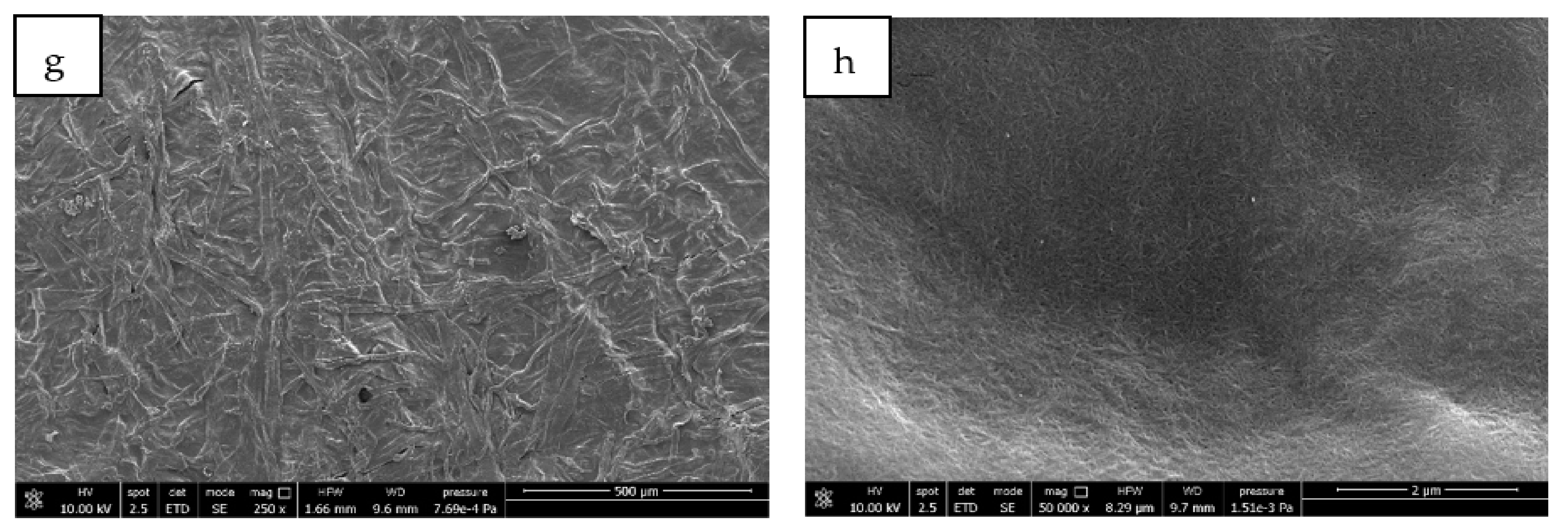 Polymers 14 02274 g012b 550