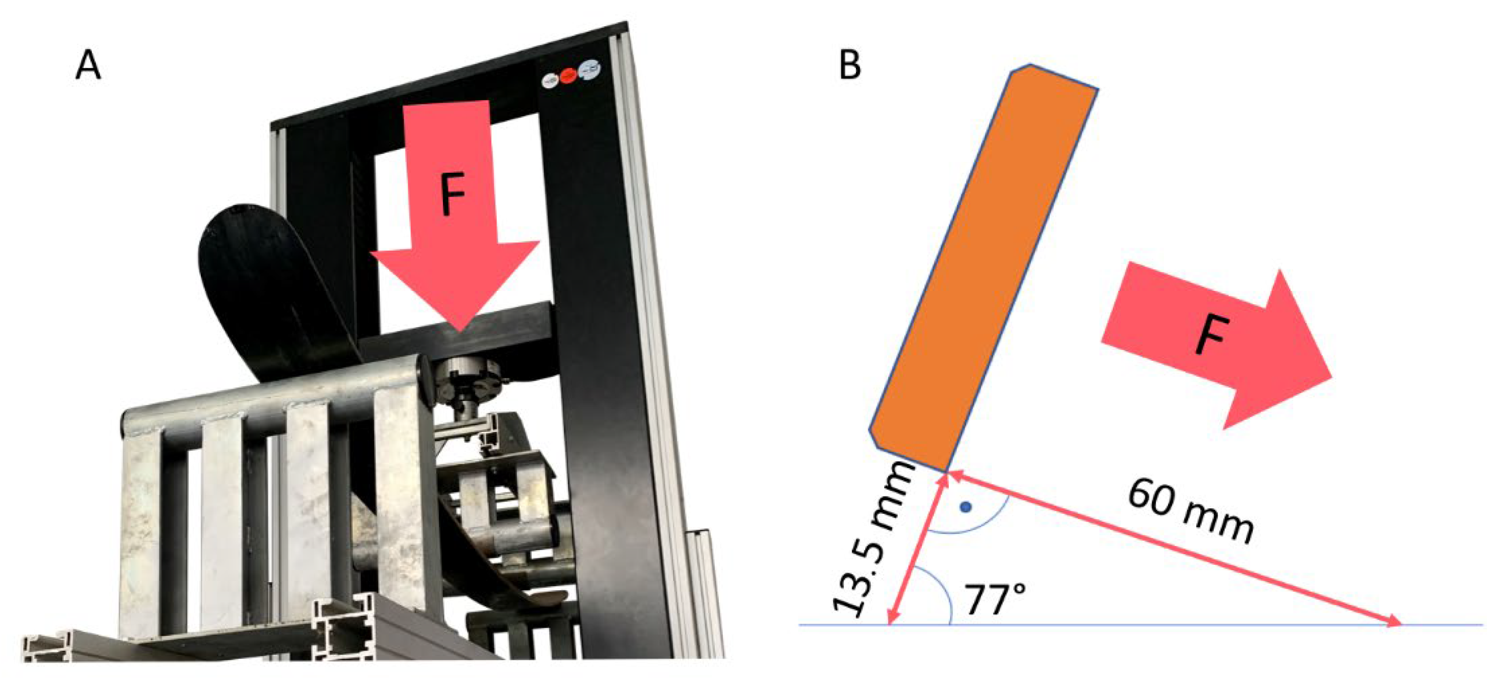 Polymers 14 02278 g006