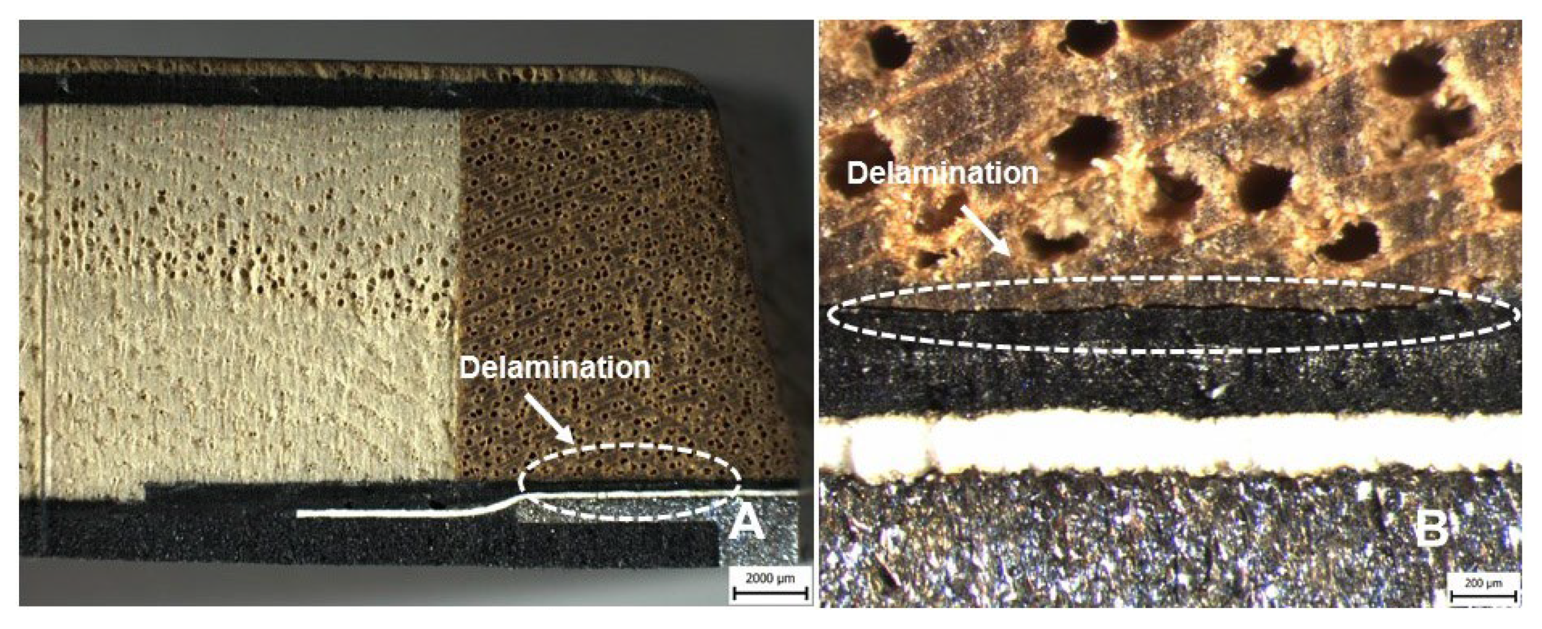 Polymers 14 02278 g012