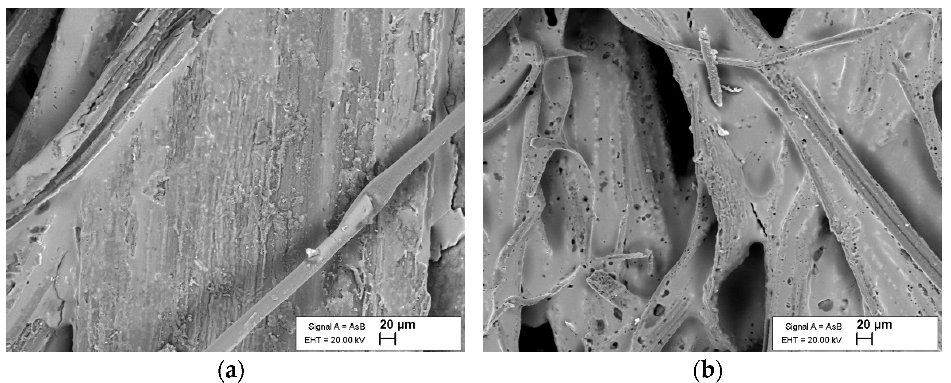 Polymers 14 02280 g002 550