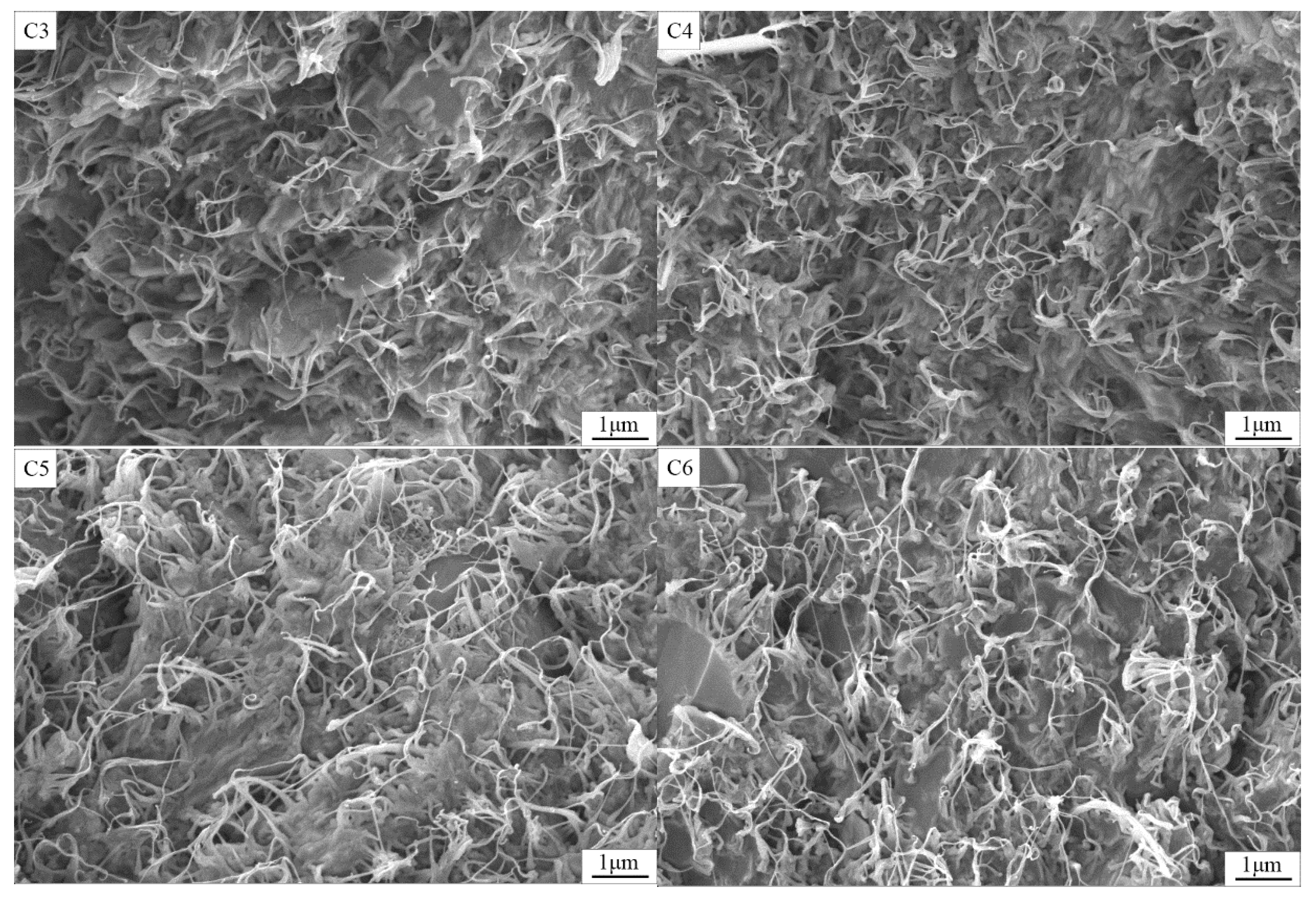 Polymers 14 02285 g002b