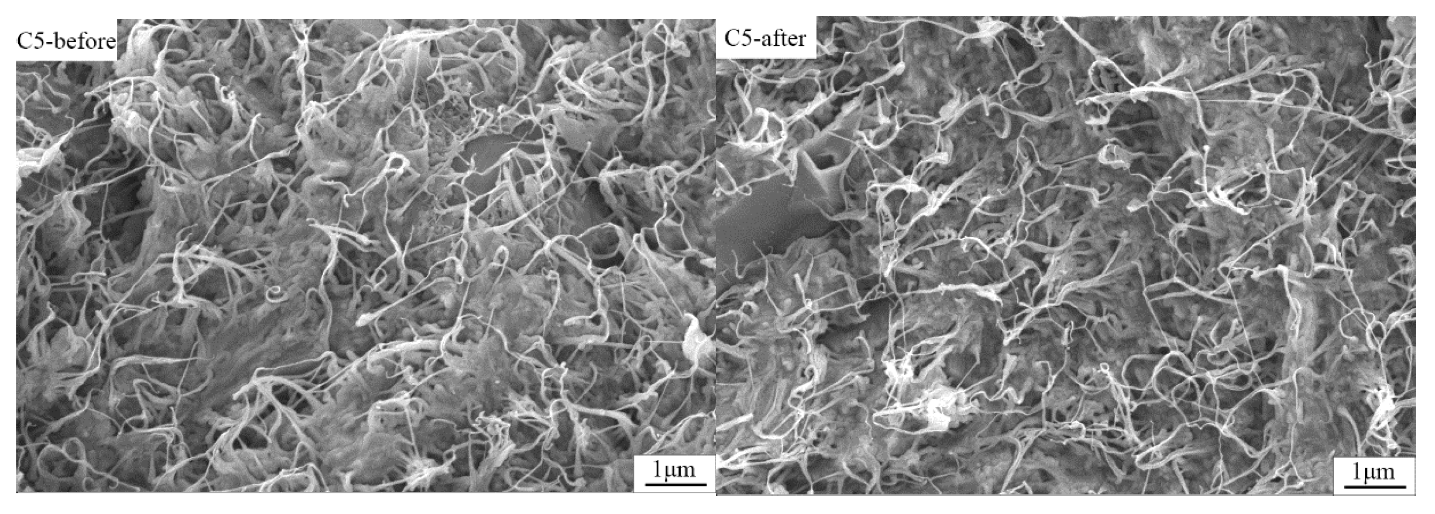 Polymers 14 02285 g008