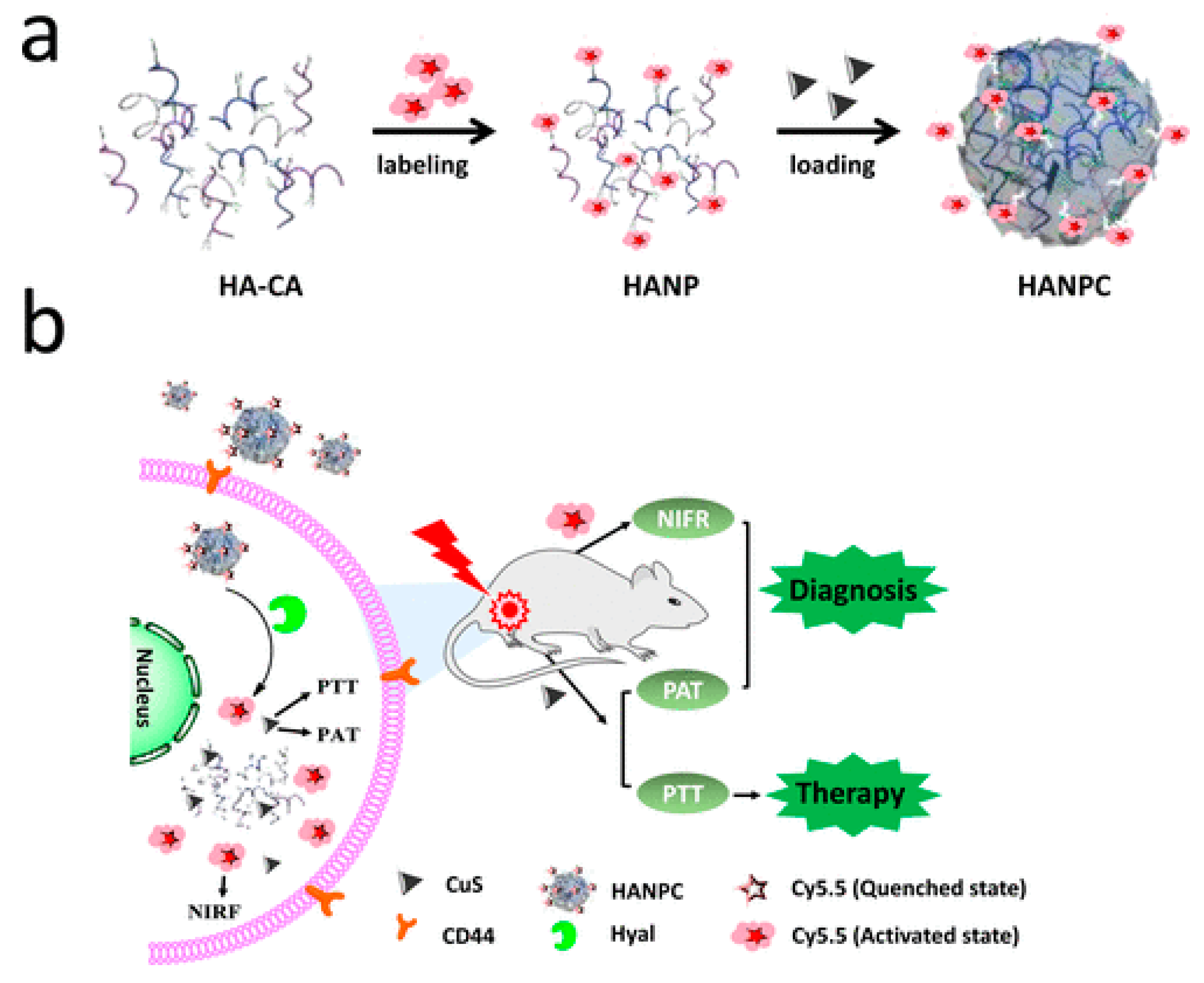 Polymers 14 02287 g006