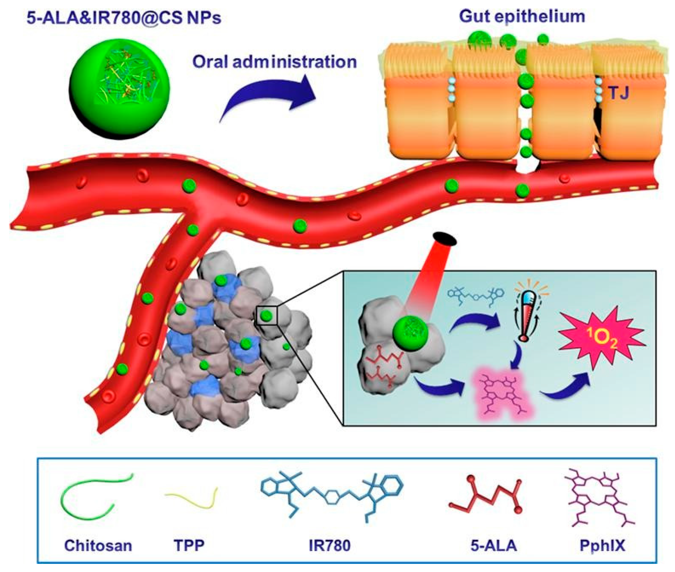 Polymers 14 02287 g007