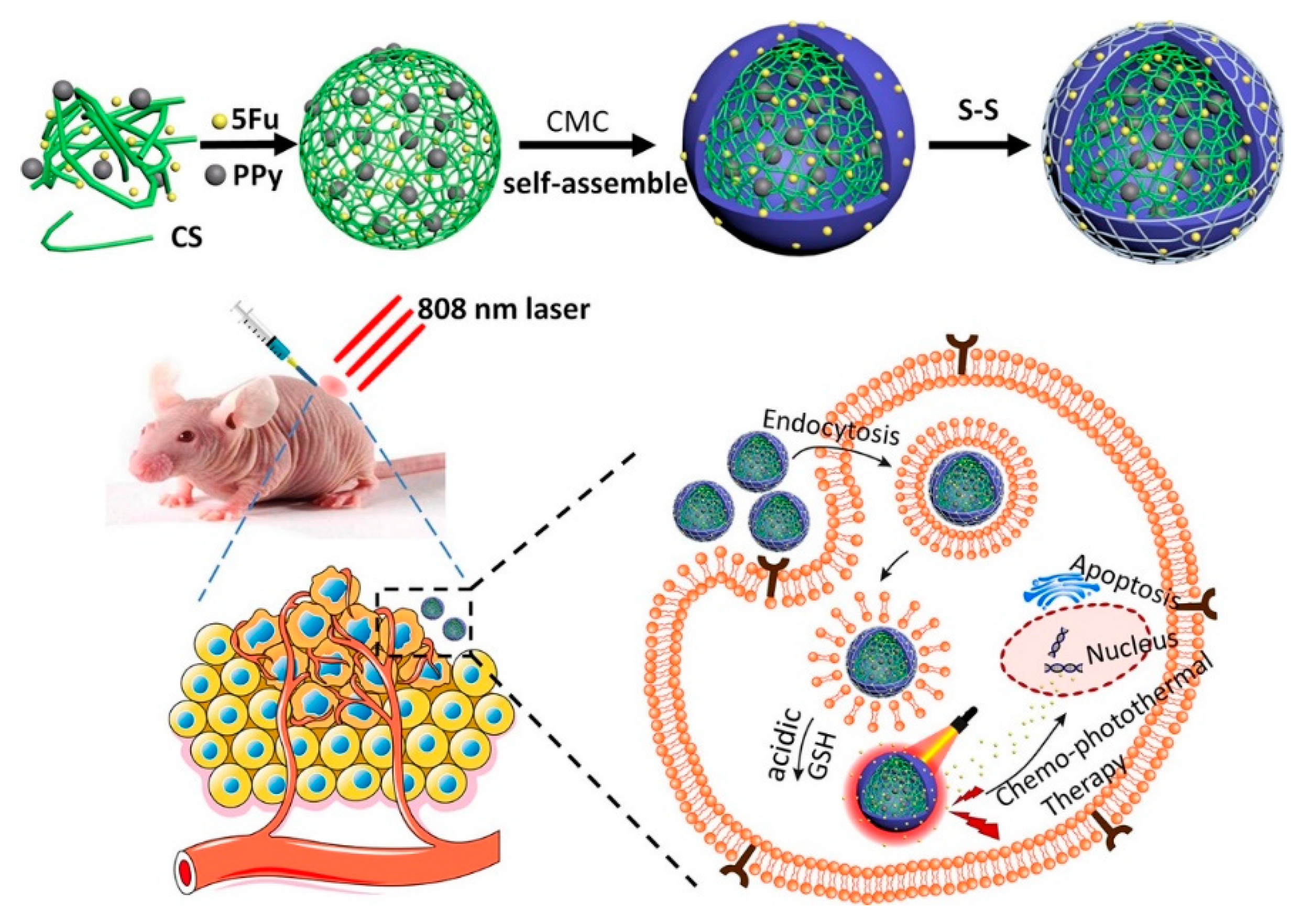 Polymers 14 02287 g008