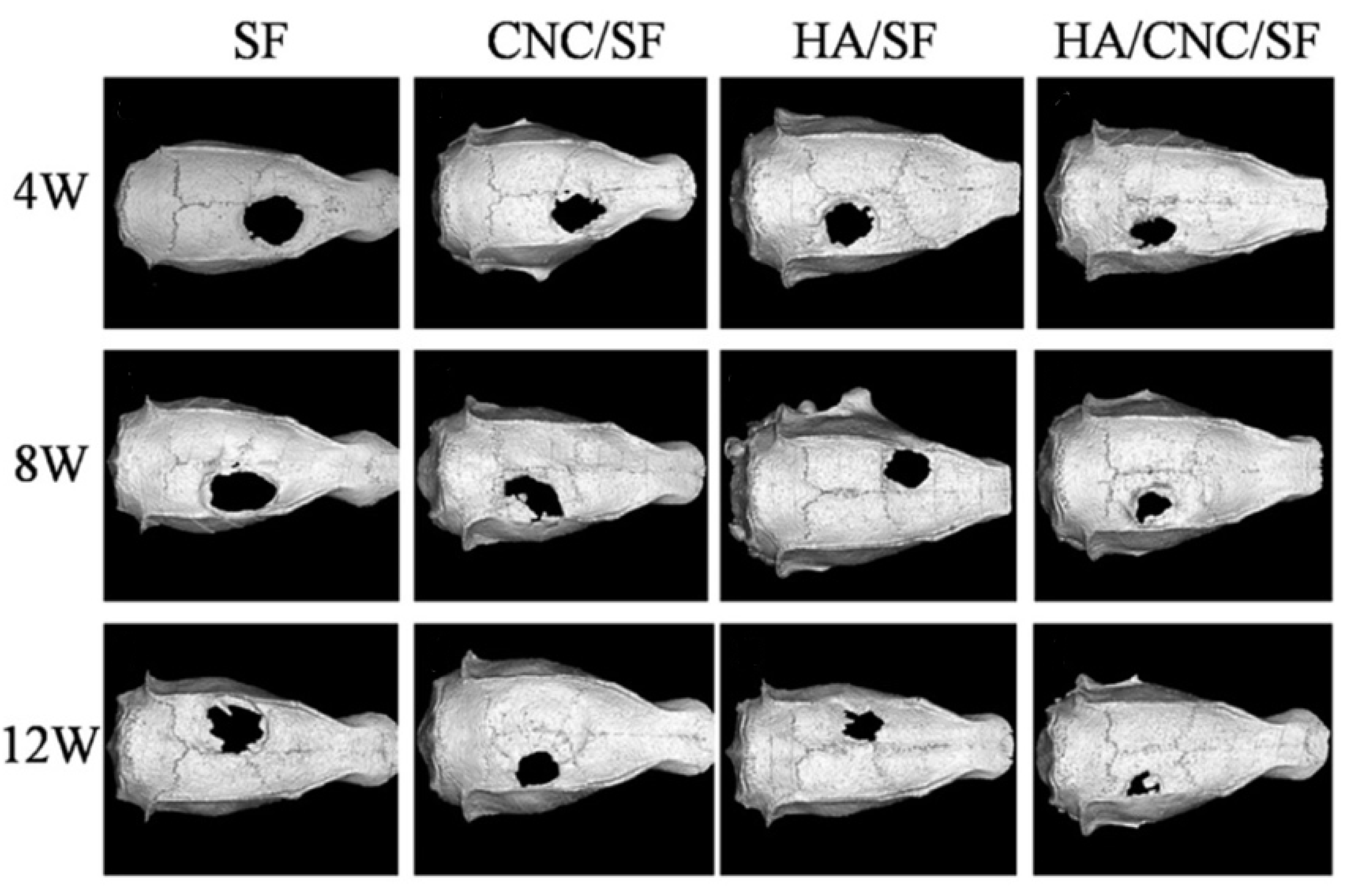 Polymers 14 02287 g009