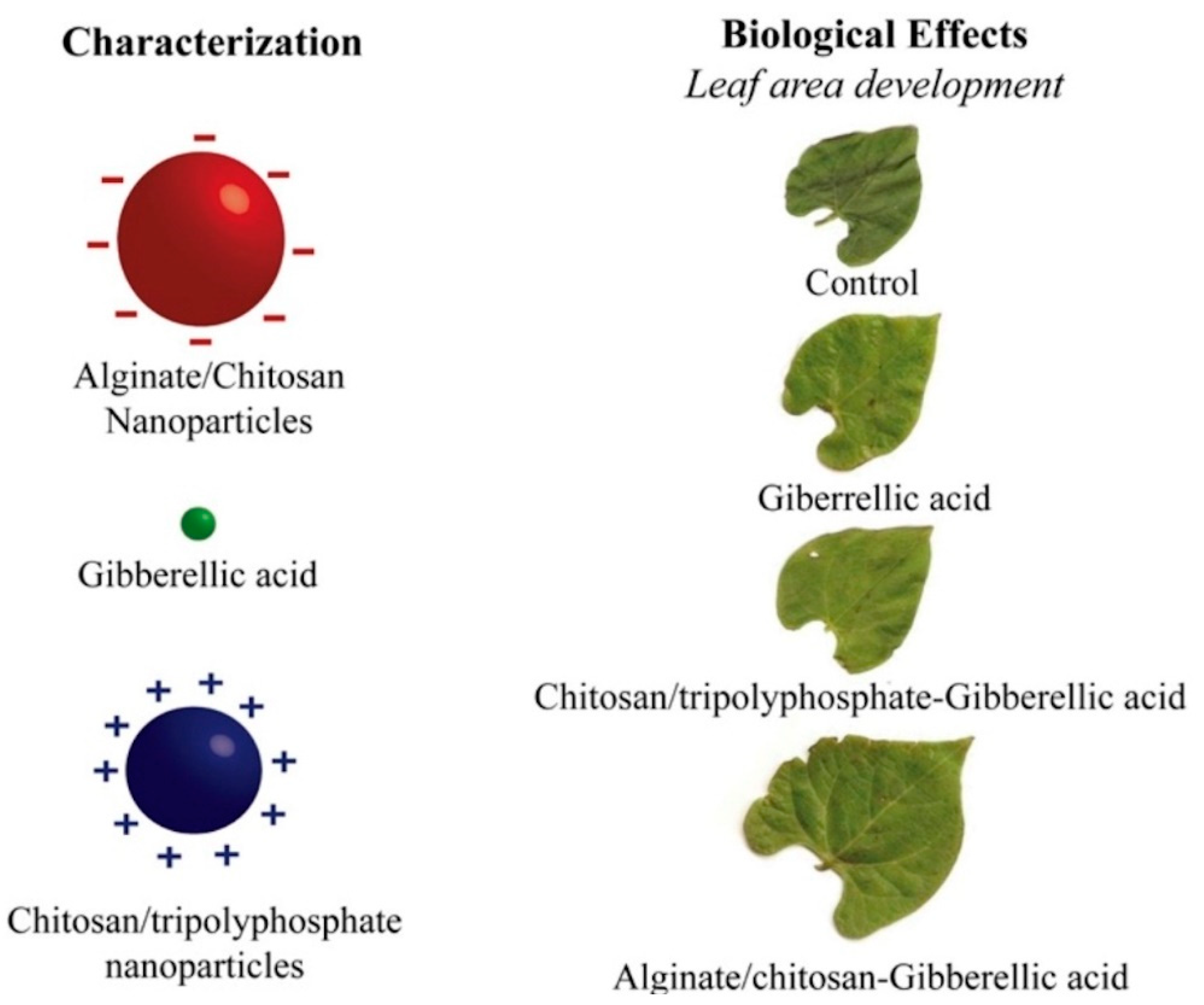Polymers 14 02287 g010