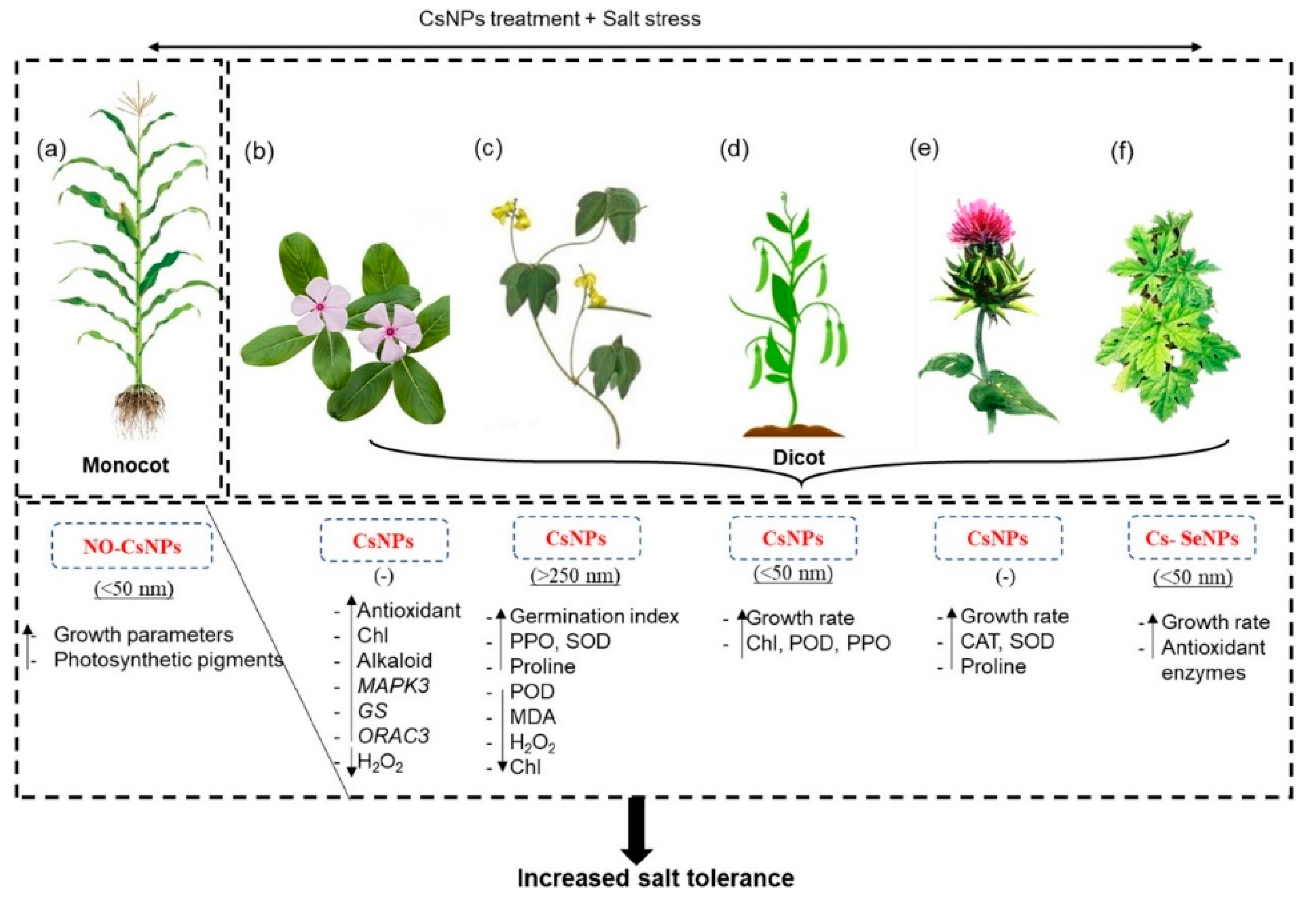 Polymers 14 02287 g011