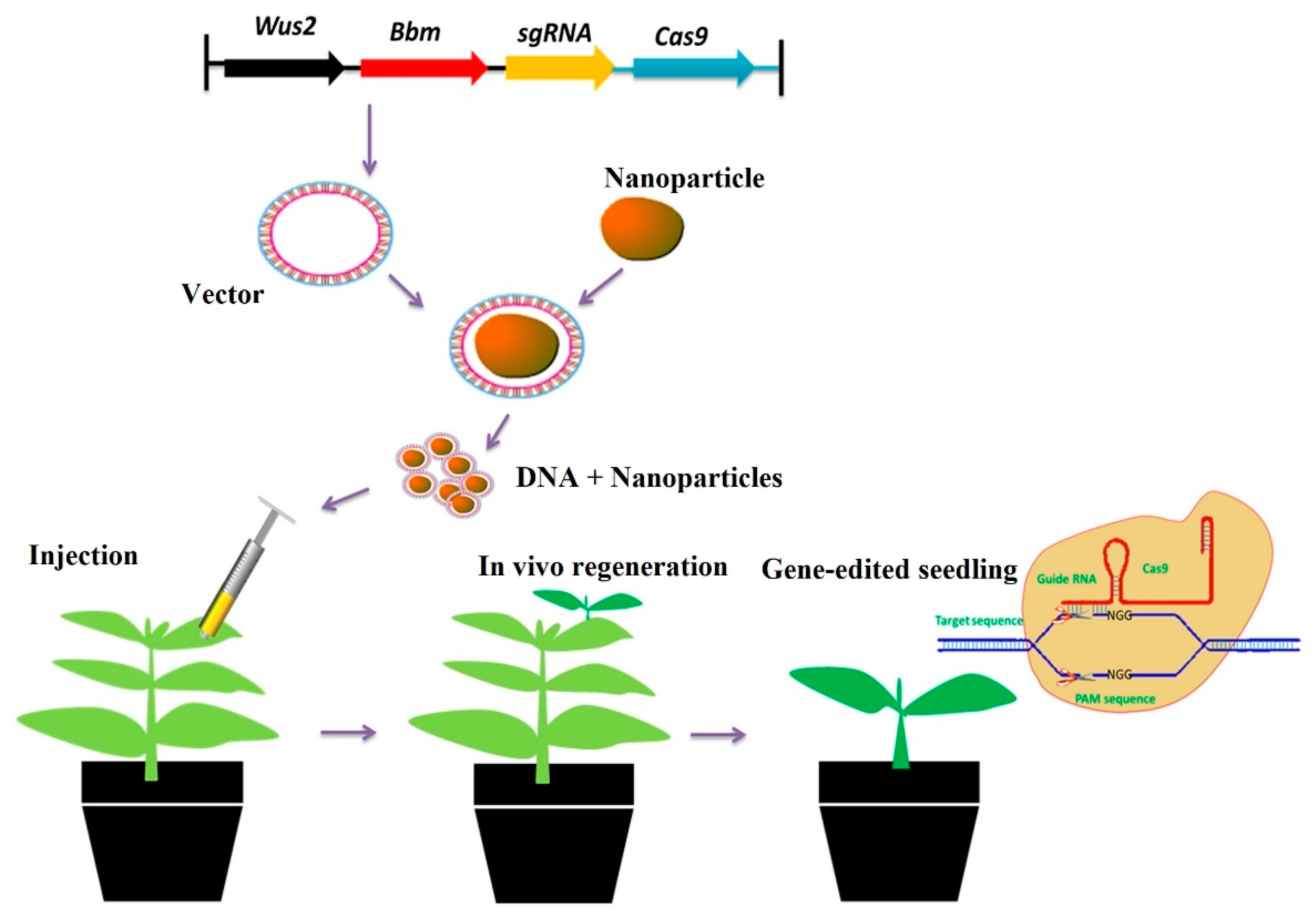Polymers 14 02287 g012