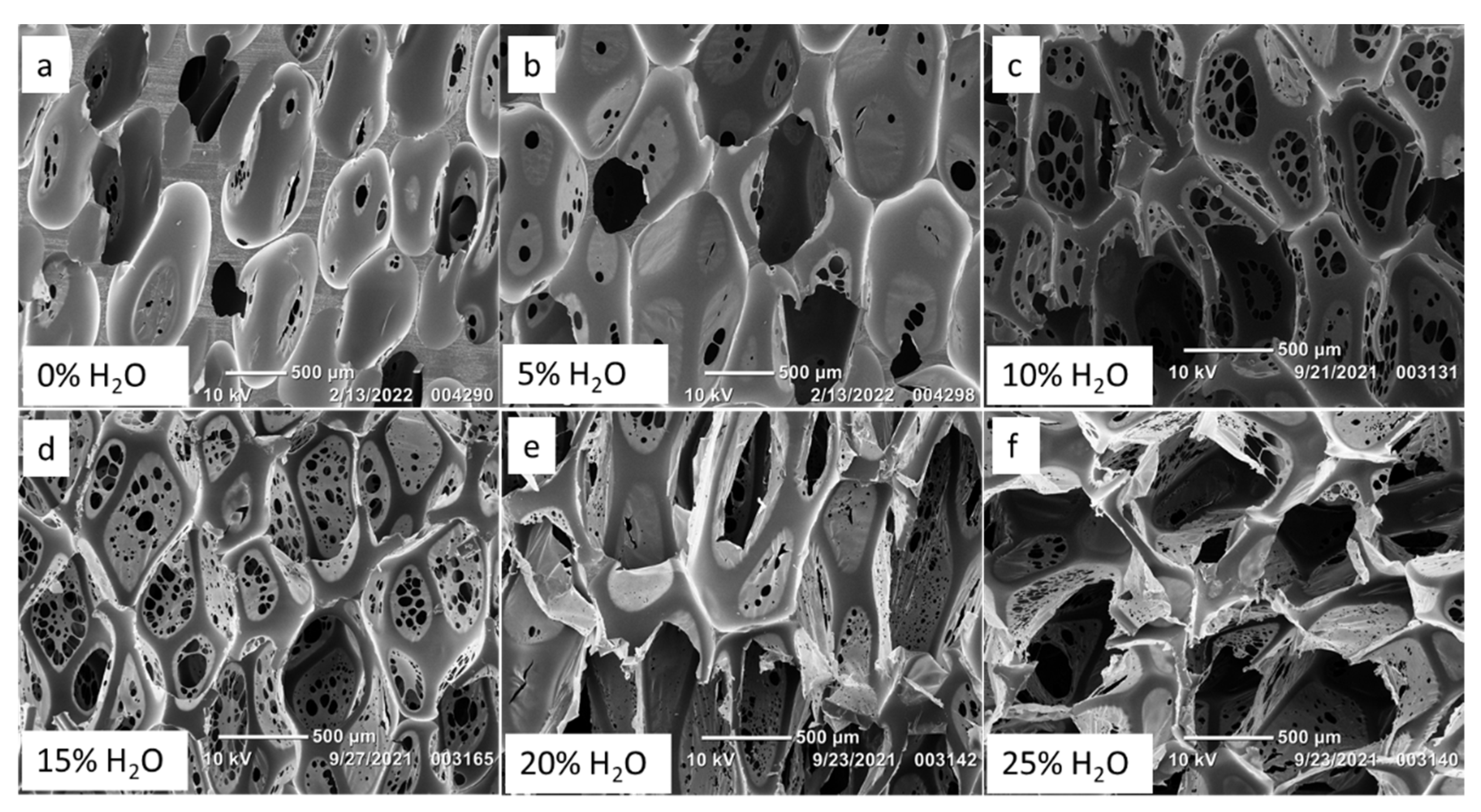 Polymers 14 02288 g001